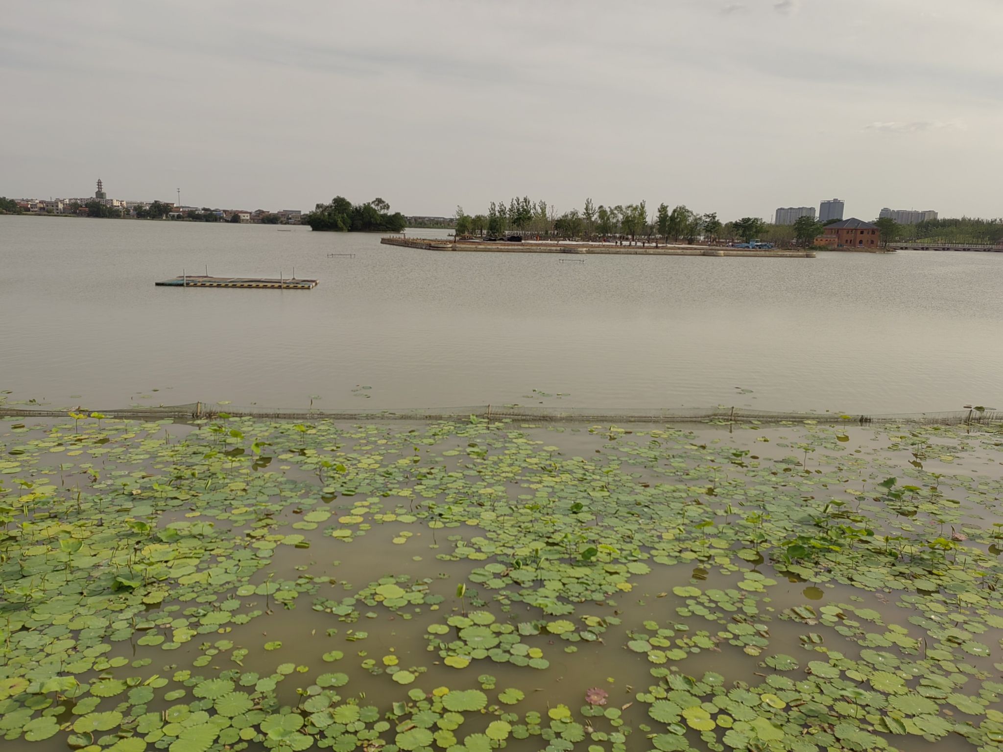 伏羲文化广场旅行图片 3