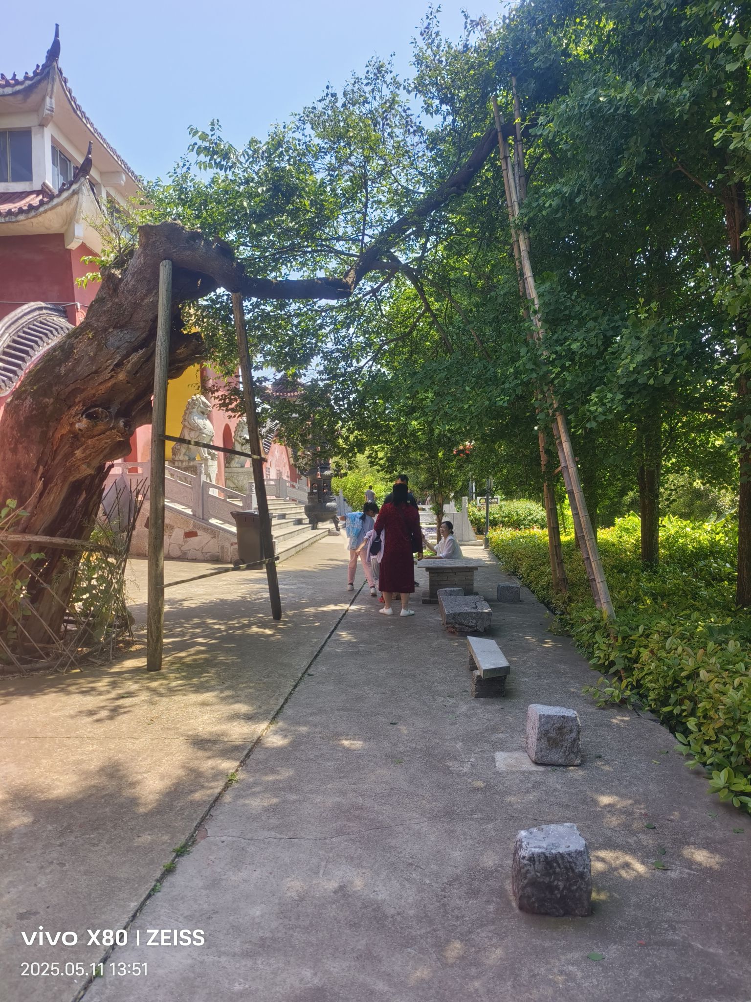 东至县大历山法藏寺实景照片