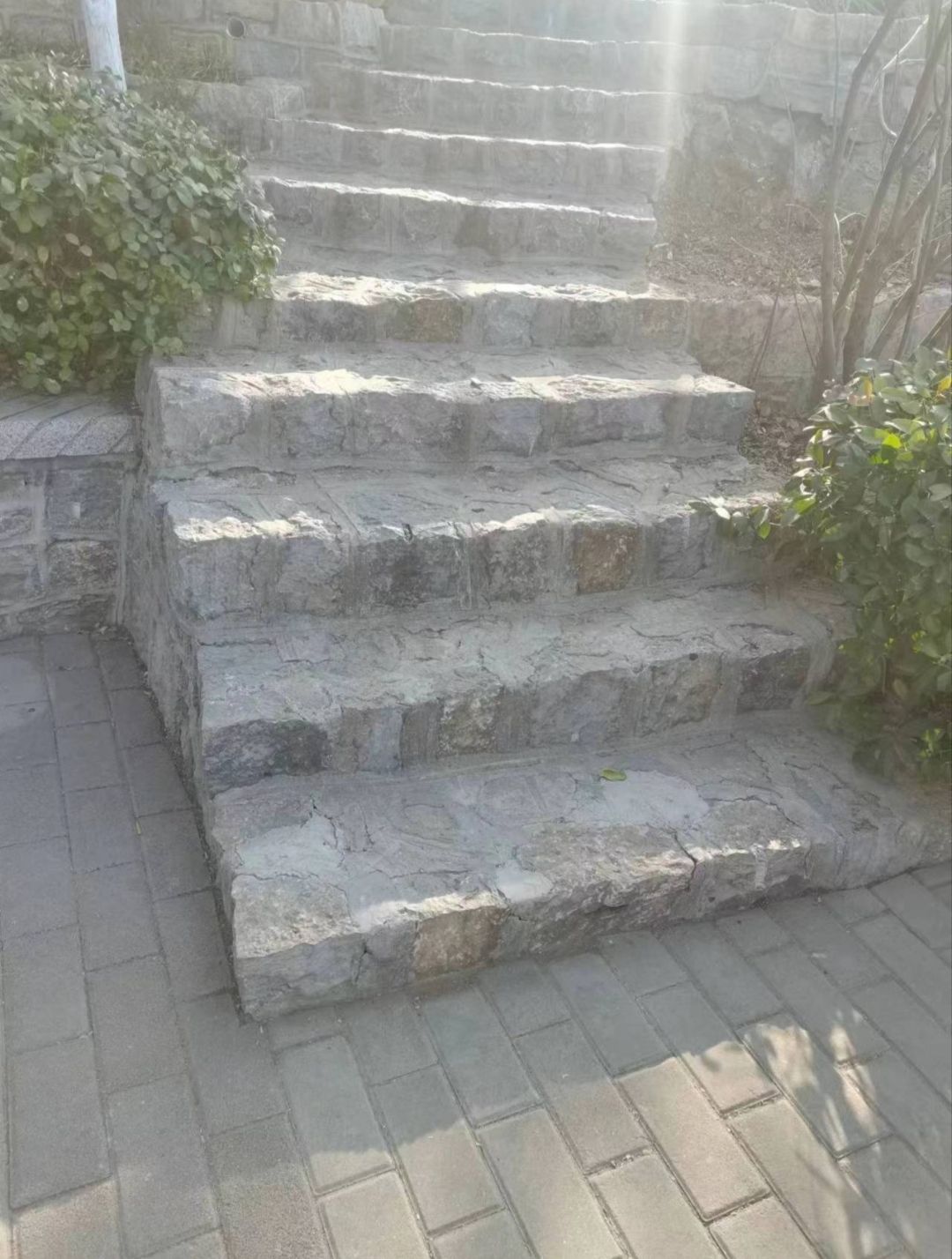 丁字山公园旅行图片 3