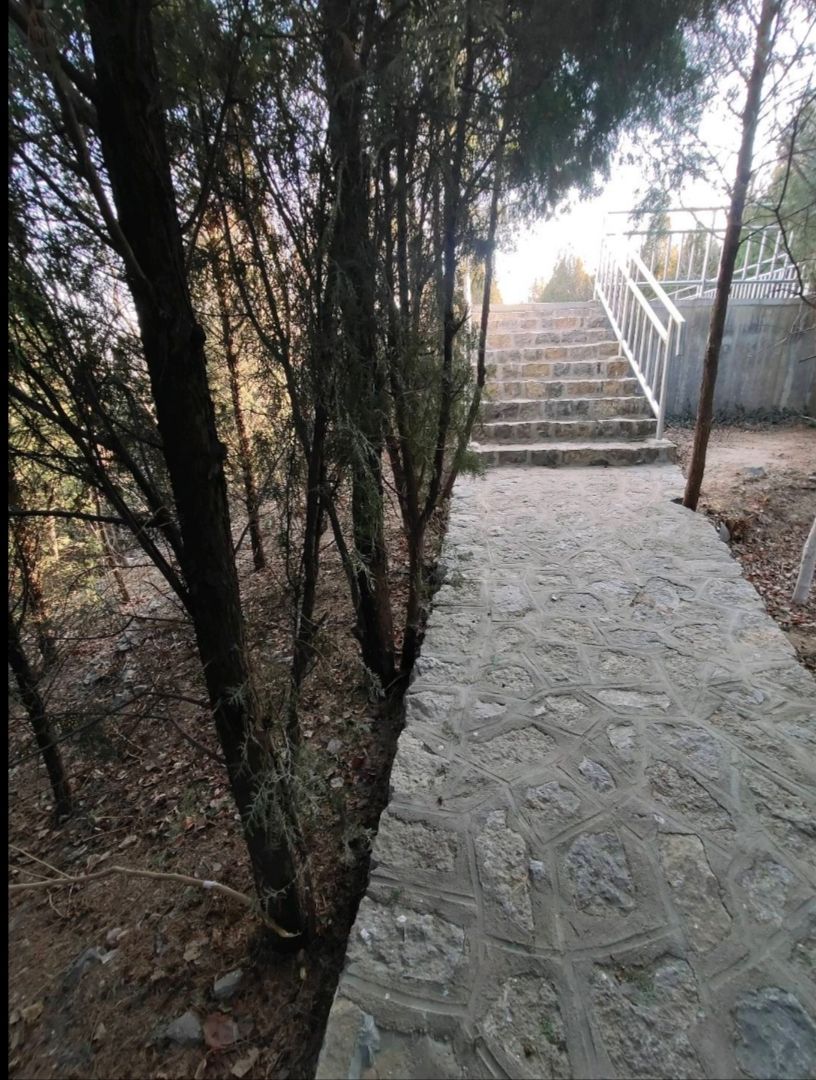 丁字山公园旅行图片 1