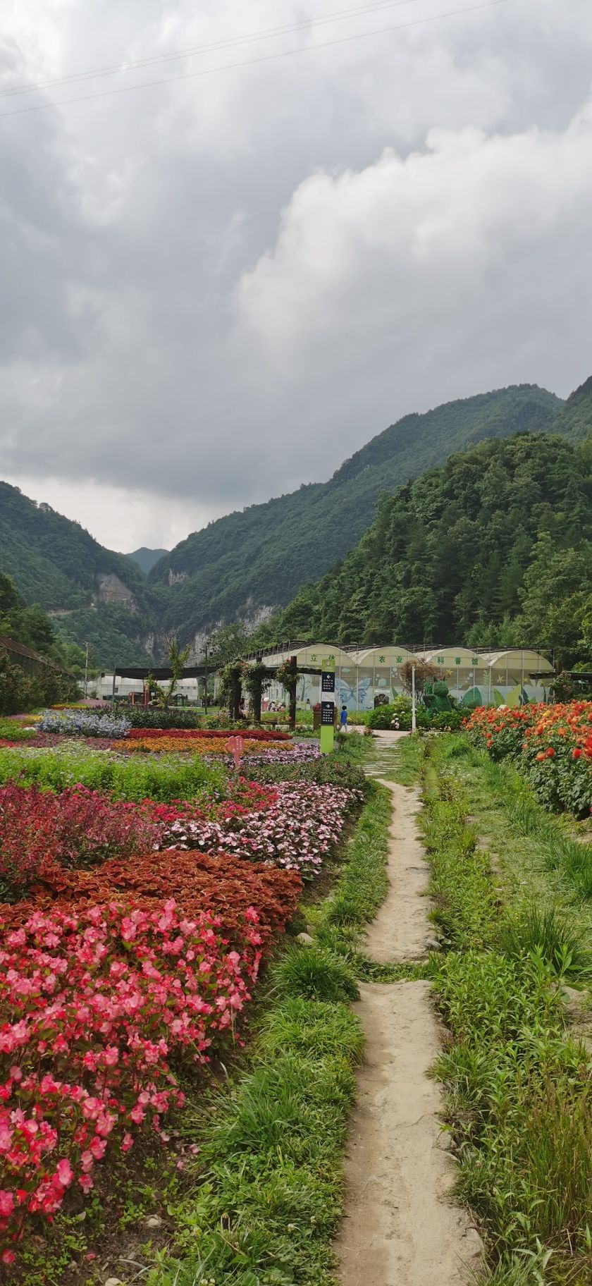 花千谷旅行图片 3