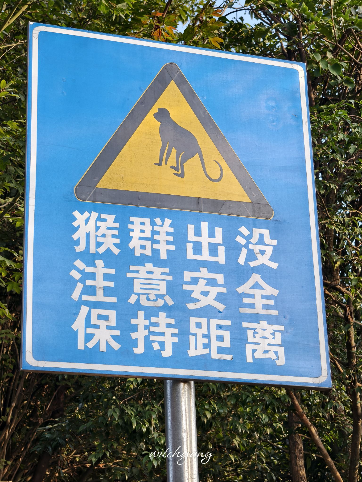 泾县六道弯观景台旅行图片 1