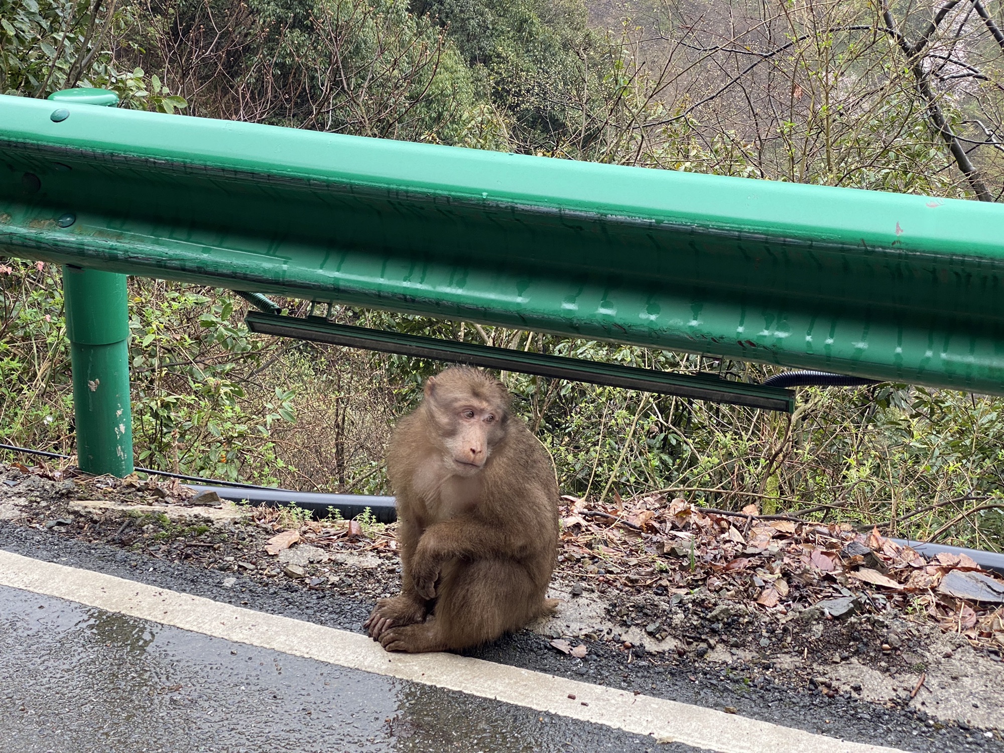泾县六道弯观景台旅行图片 2