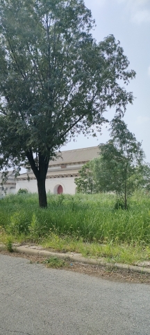玉佛宫旅行图片 1
