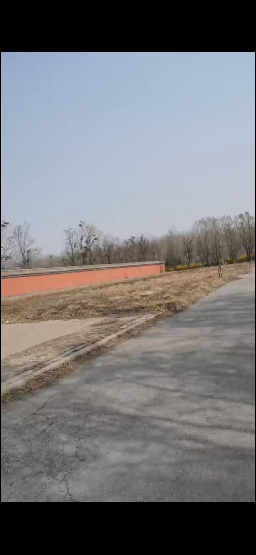 玉佛宫旅行图片 2