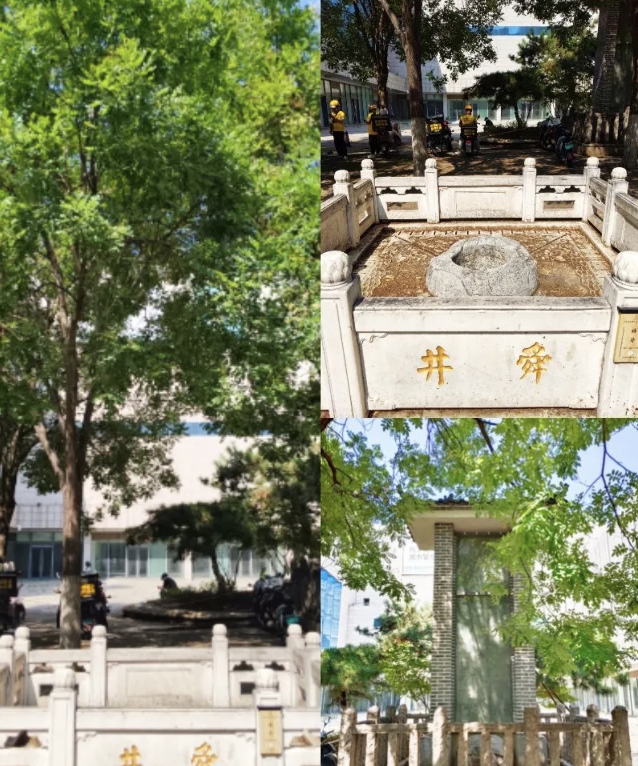 舜井旅行图片 3