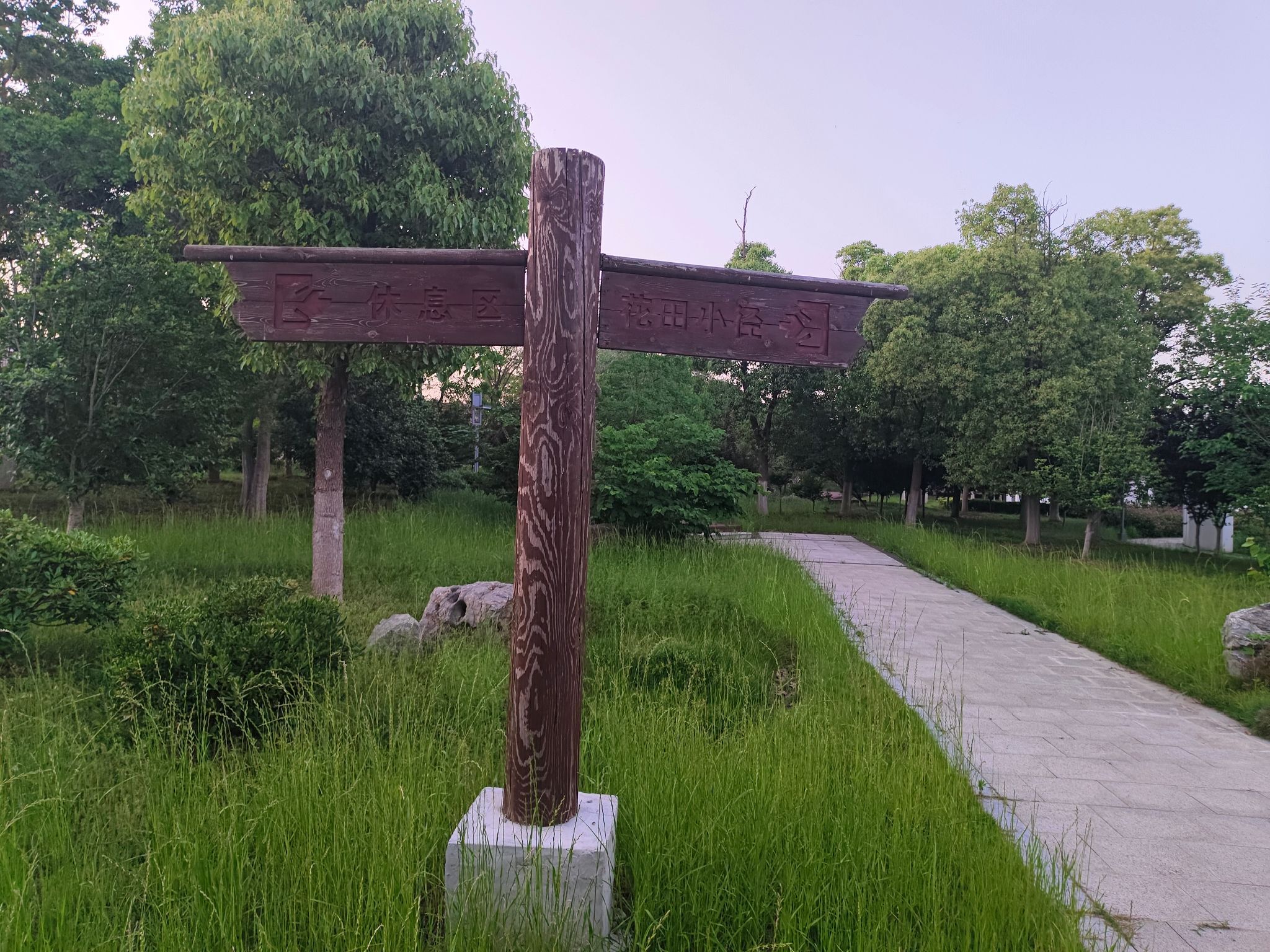 桐荫公园旅行图片 1
