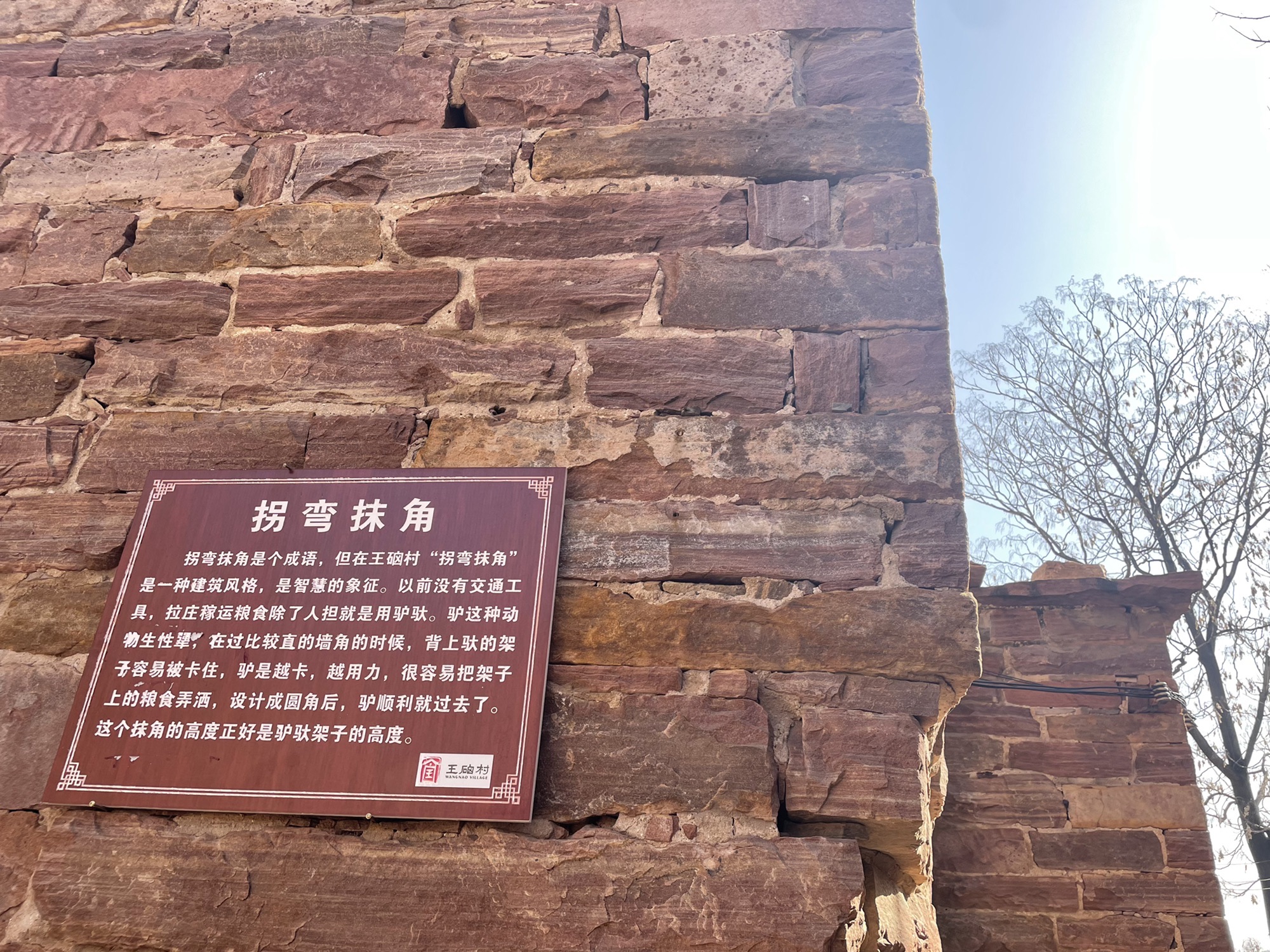 王硇景区旅行图片 2