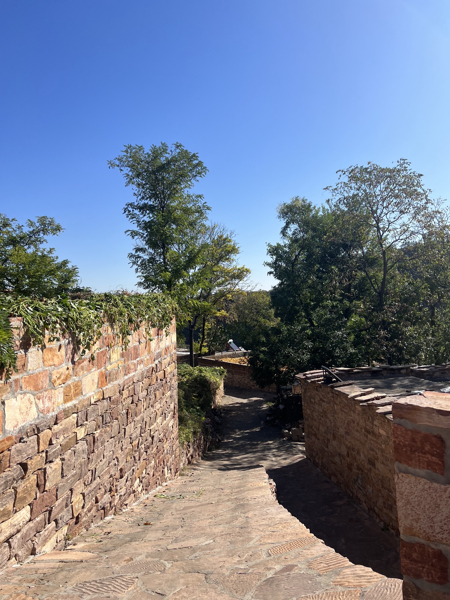 王硇景区旅行图片 3