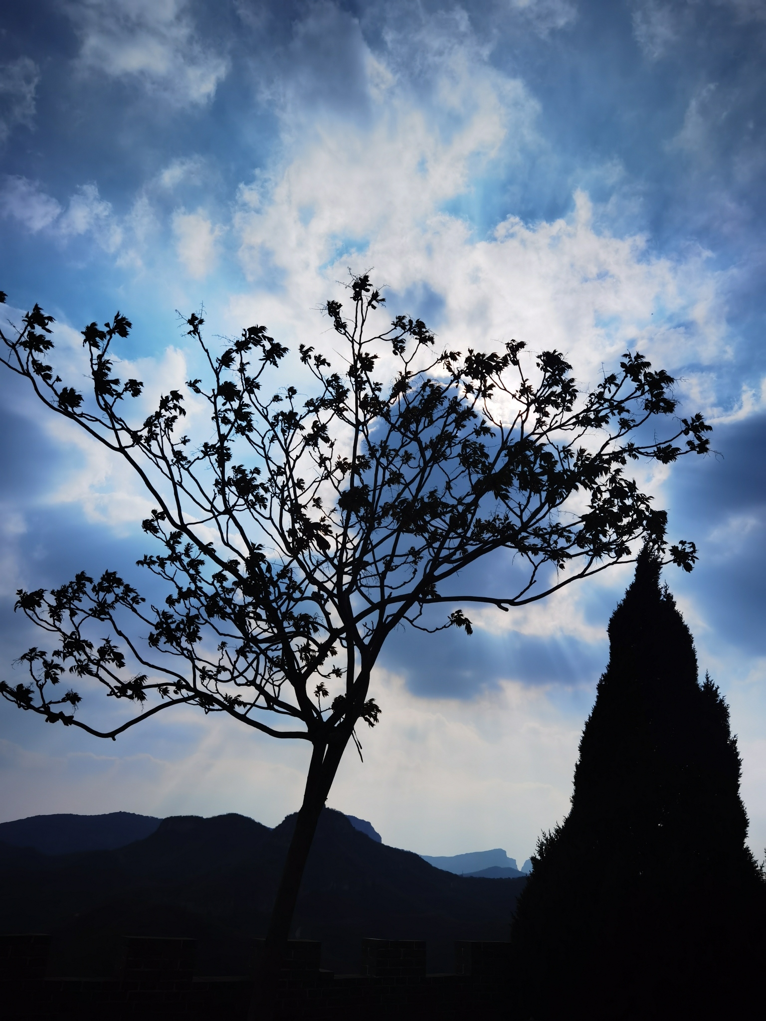 王硇景区旅行图片 3