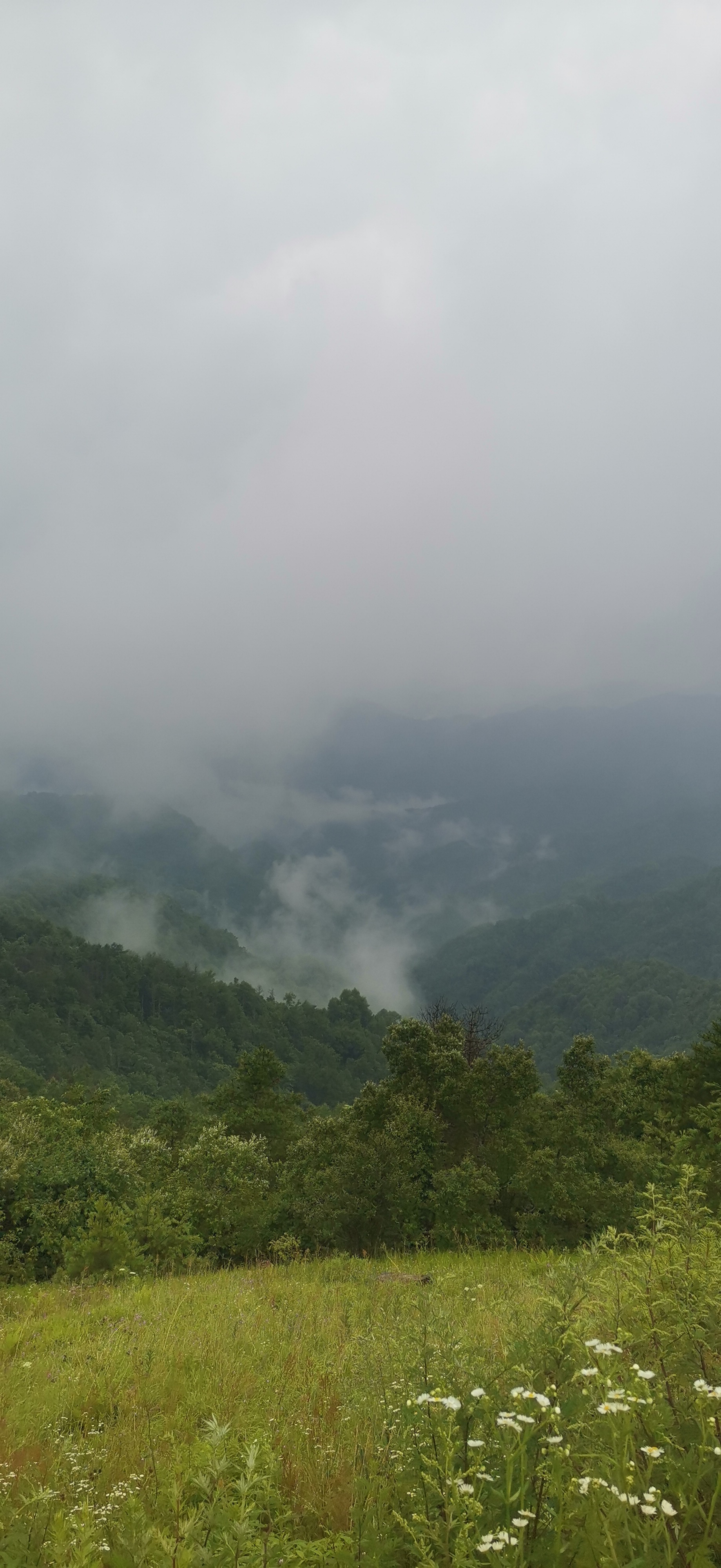 黄安坝高山牧场度假区旅行图片 1