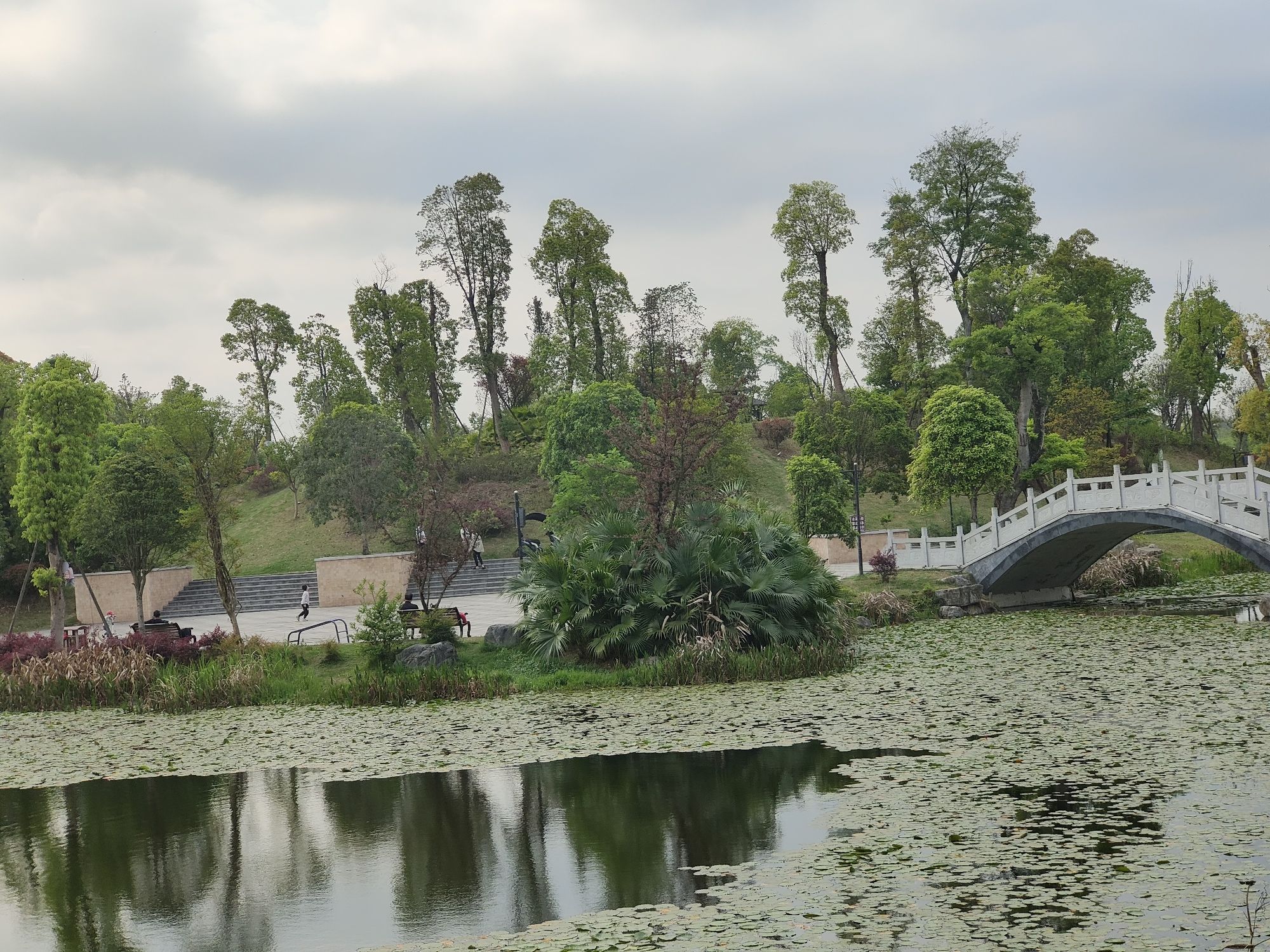 云居体育公园旅行图片 3