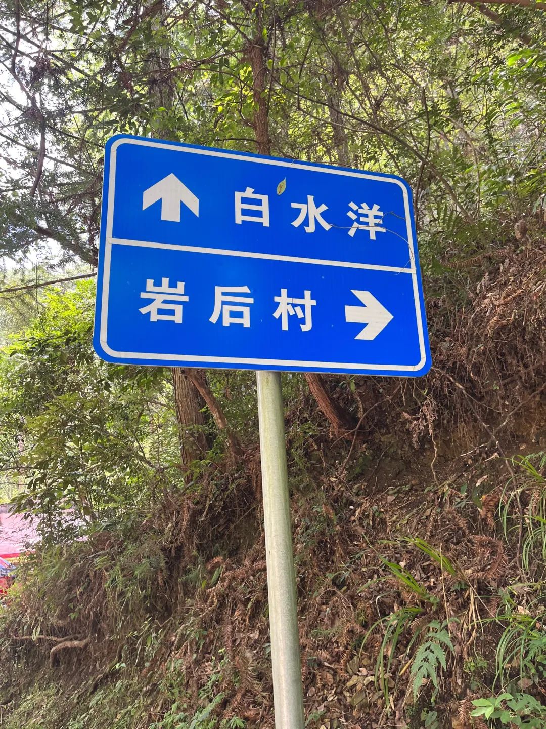 白水洋风景区旅行图片 2