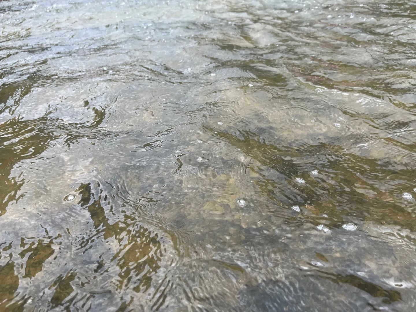 白水洋风景区旅行图片 1