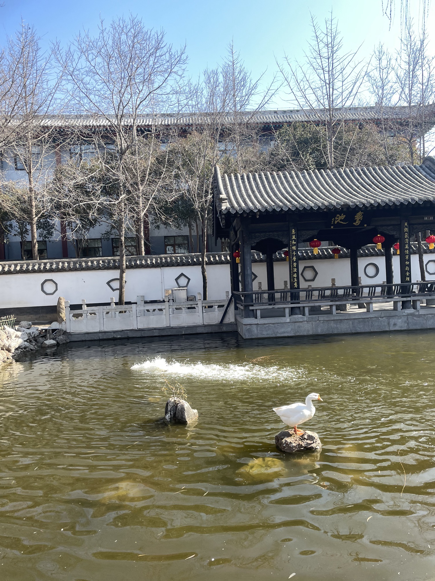王羲之故居旅游区旅行图片 3