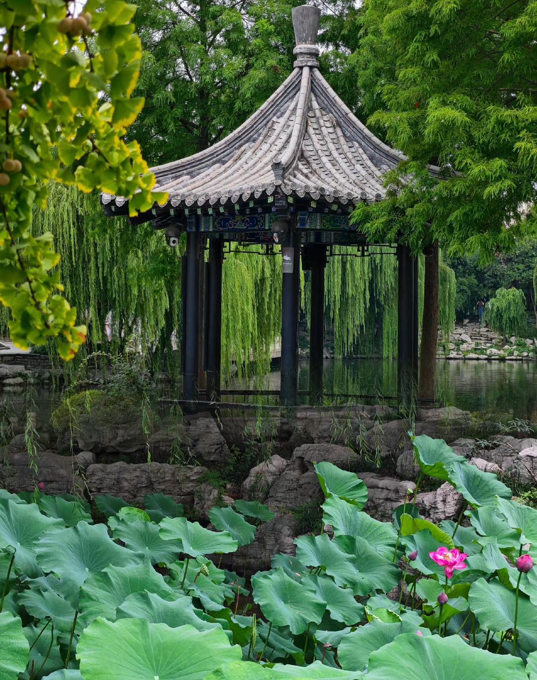王羲之故居旅游区旅行图片 2