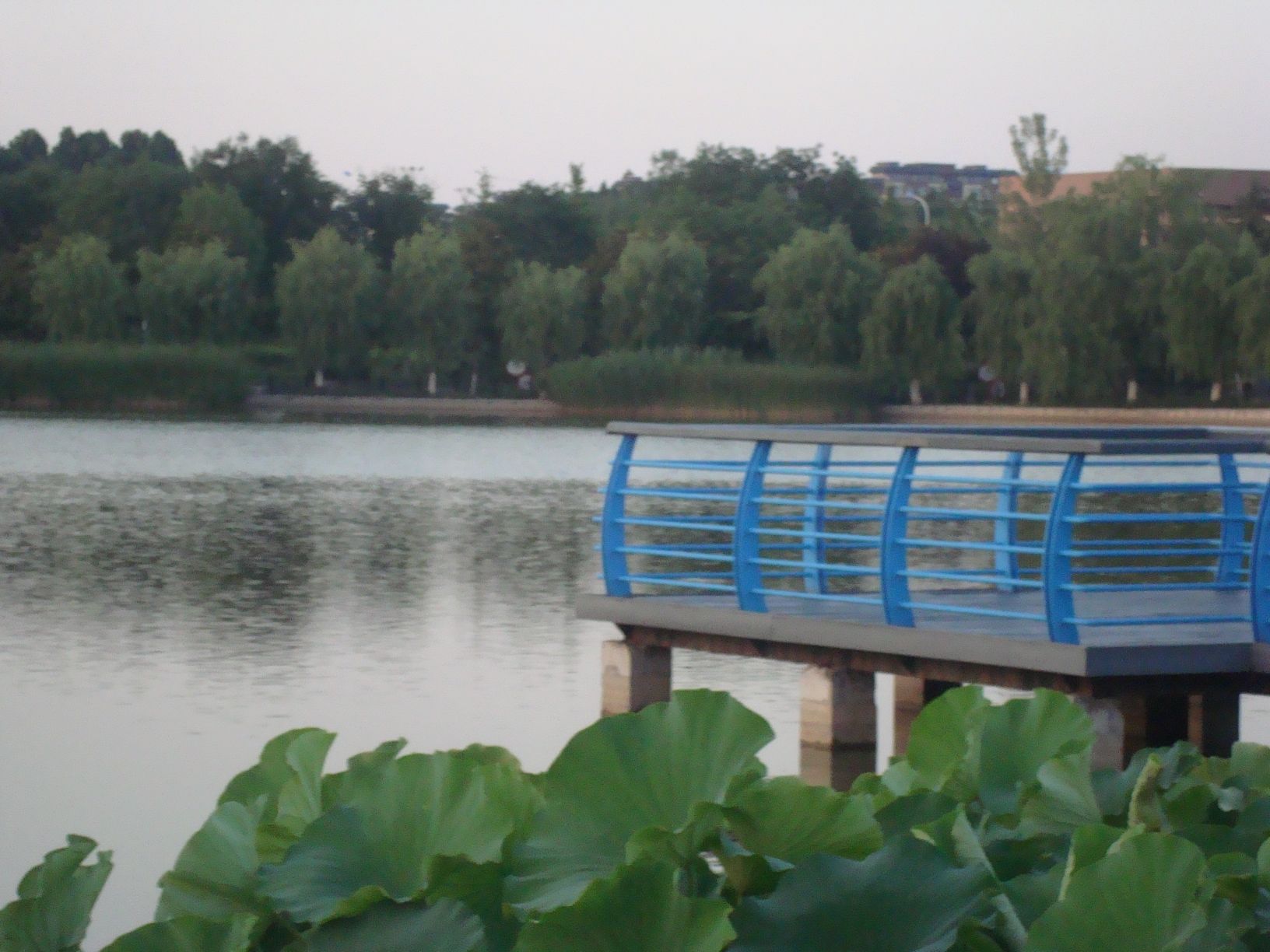 祥云湖旅行图片 3