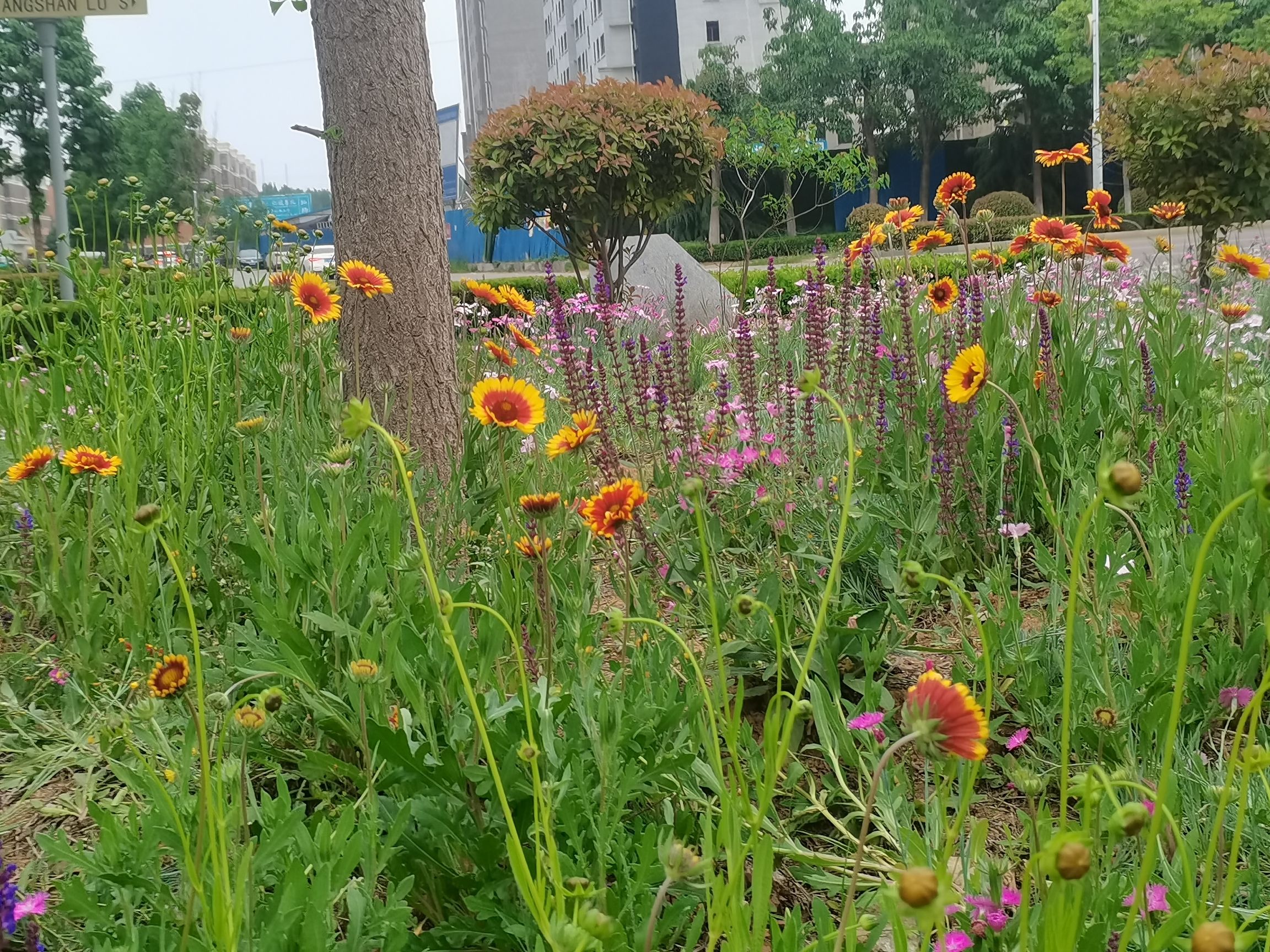 祥云湖旅行图片 2