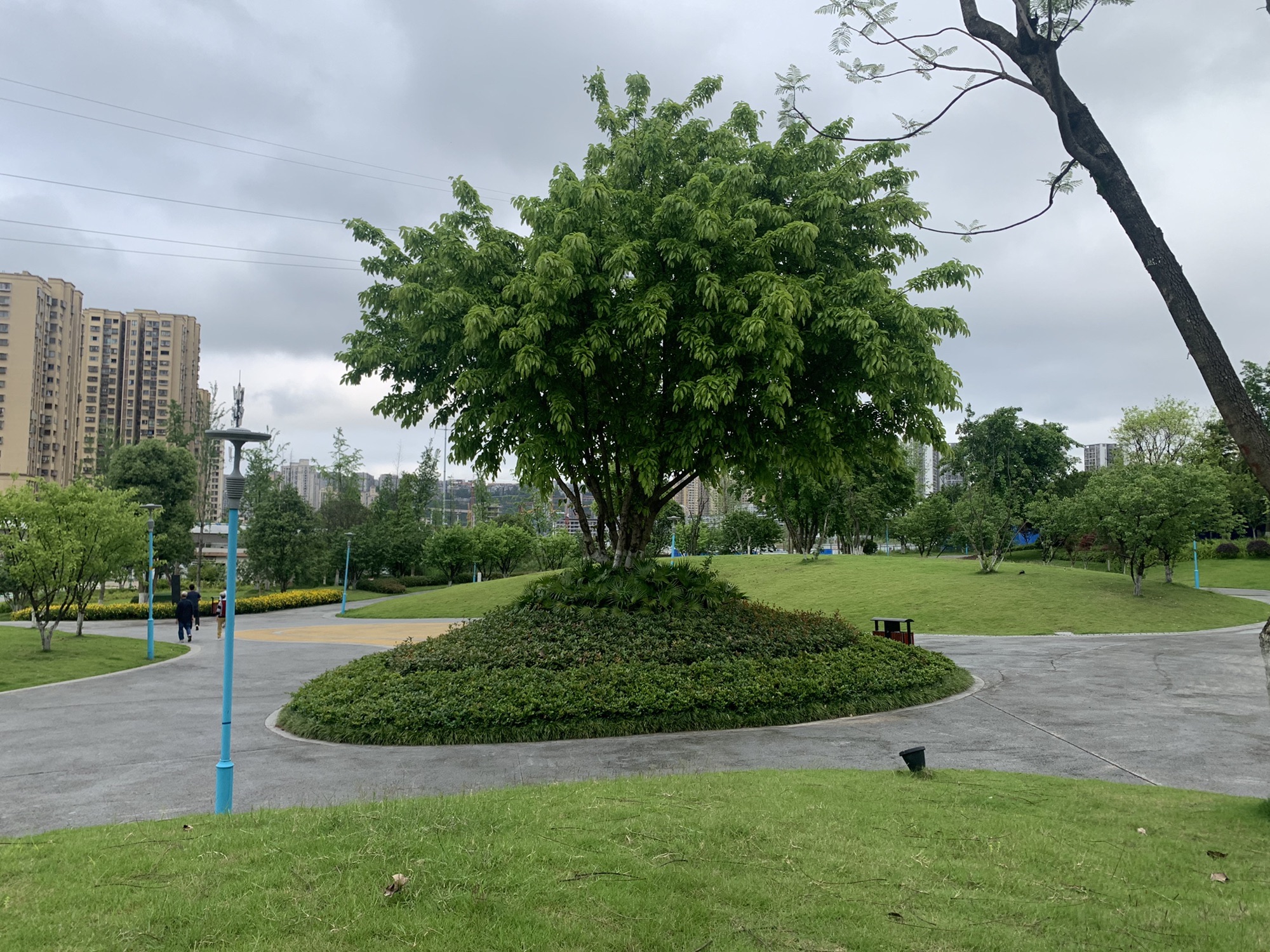 祥和公园旅行图片 2