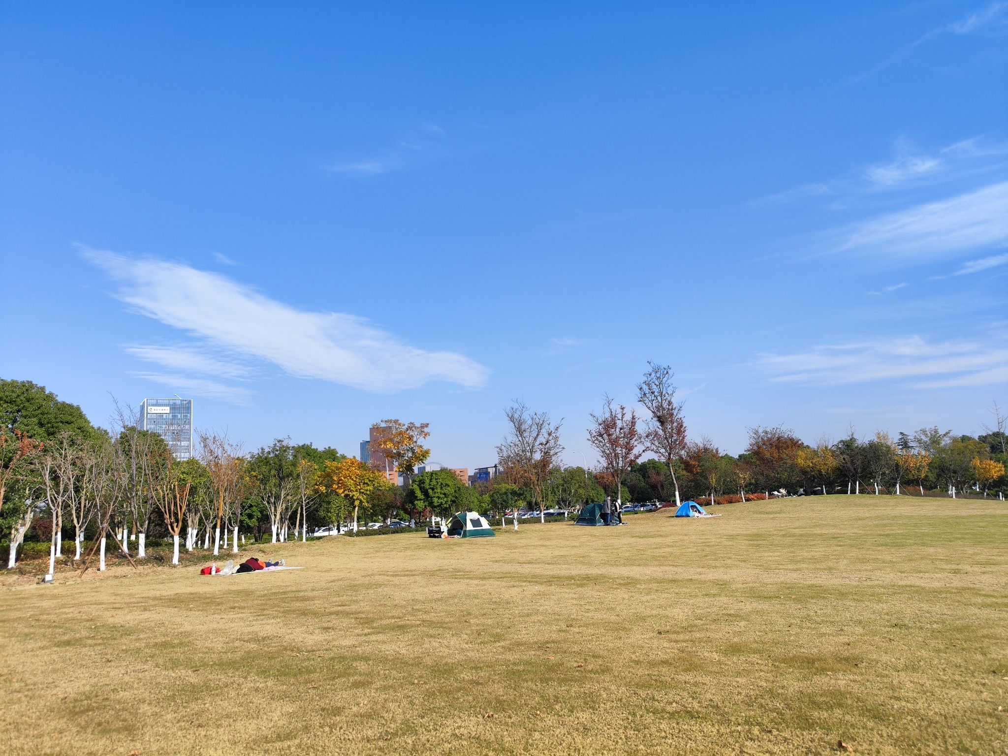 梦湖公园旅行图片 1