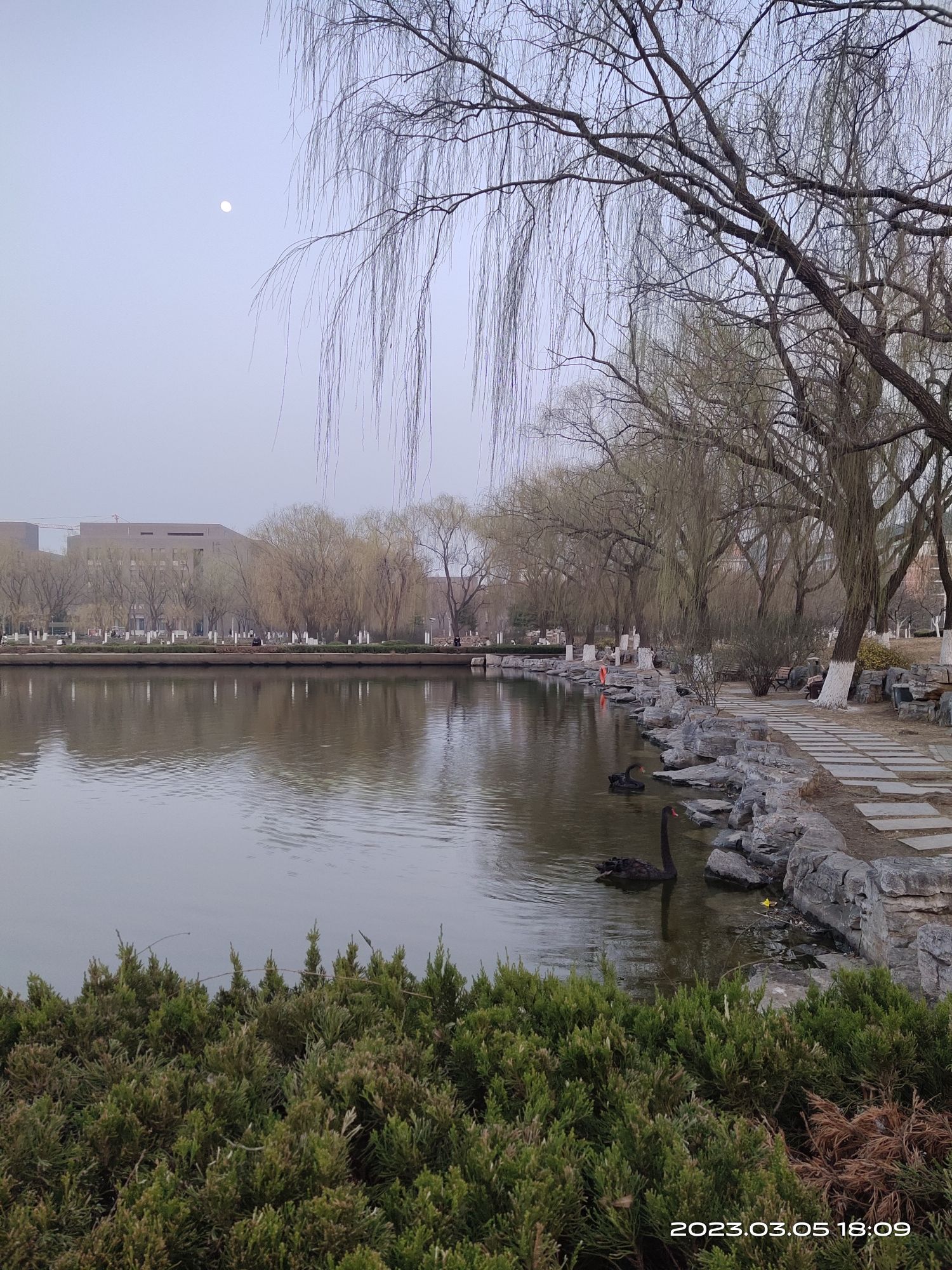 清漪公园旅行图片 2