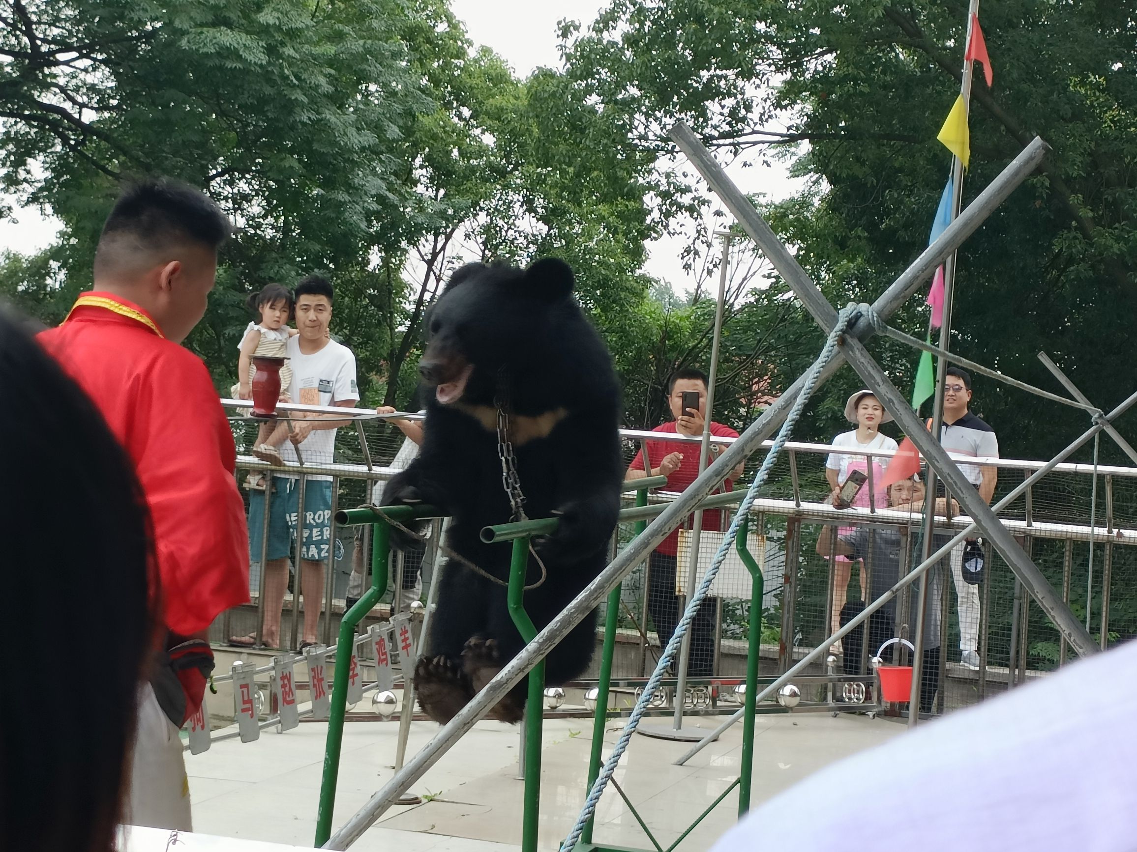 华西世界公园旅行图片 2