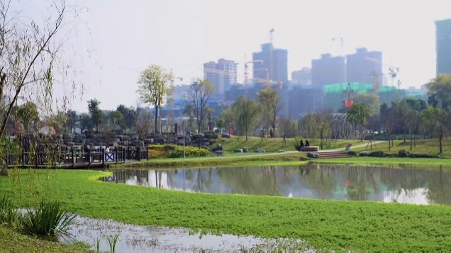 洪雅田锡水景公园旅行图片 3