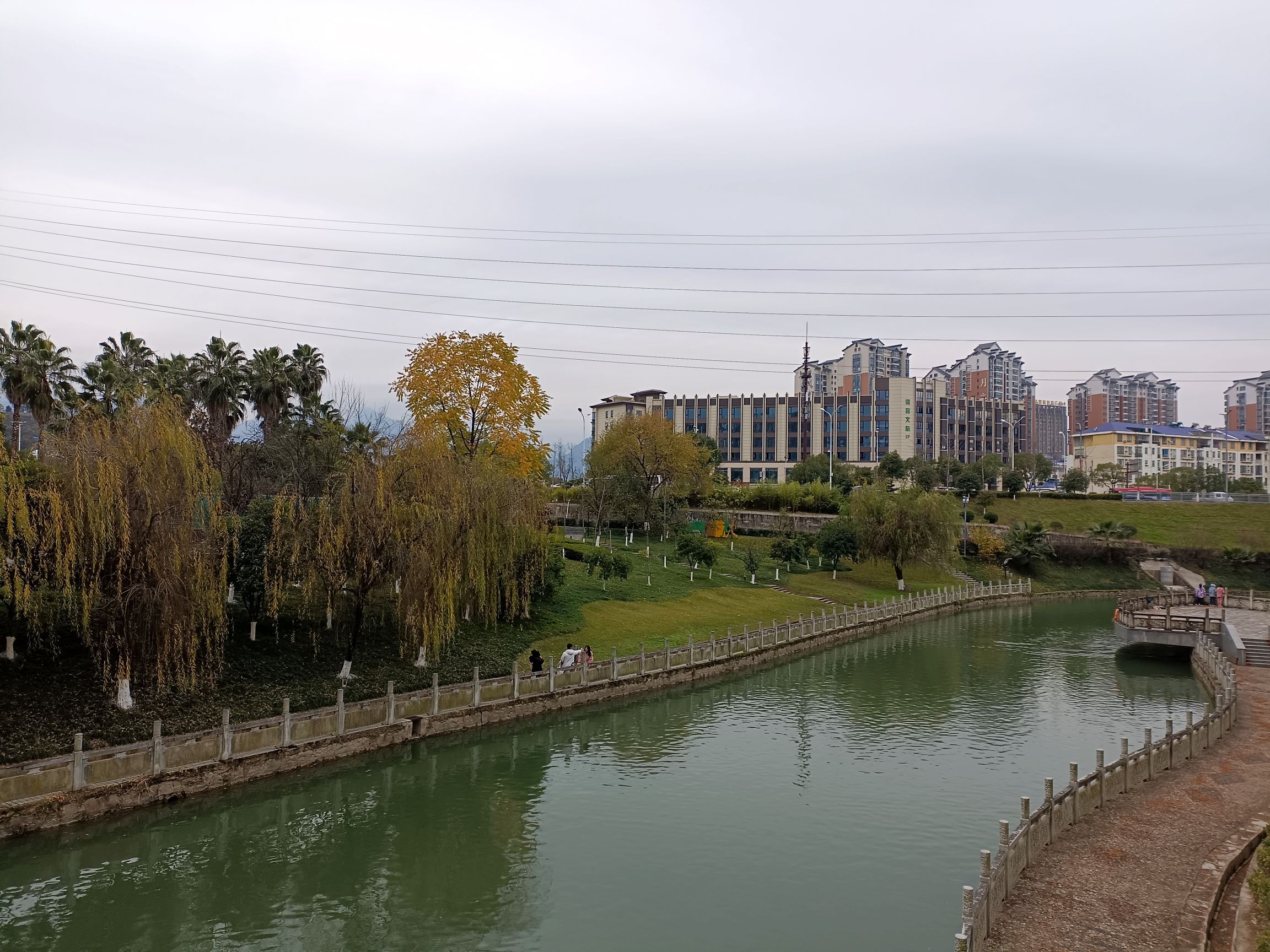 大栗坡公园旅行图片 1