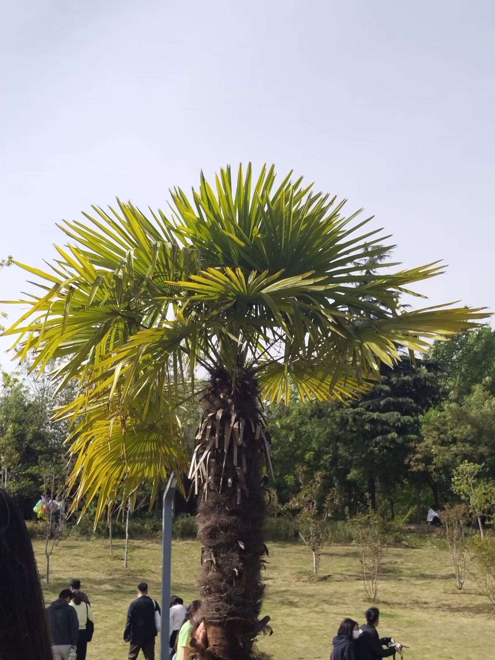 周口植物园旅行图片 2