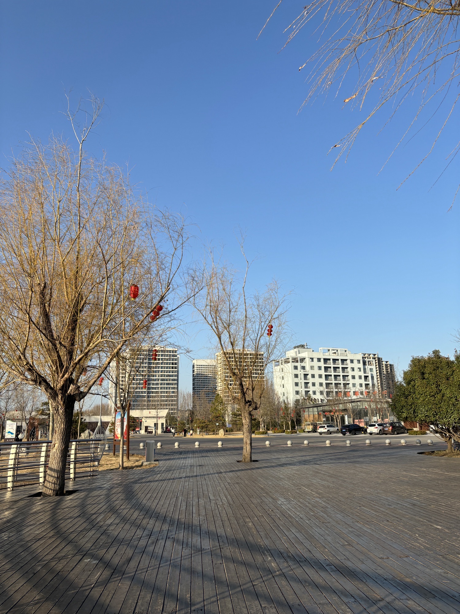 周口植物园旅行图片 2