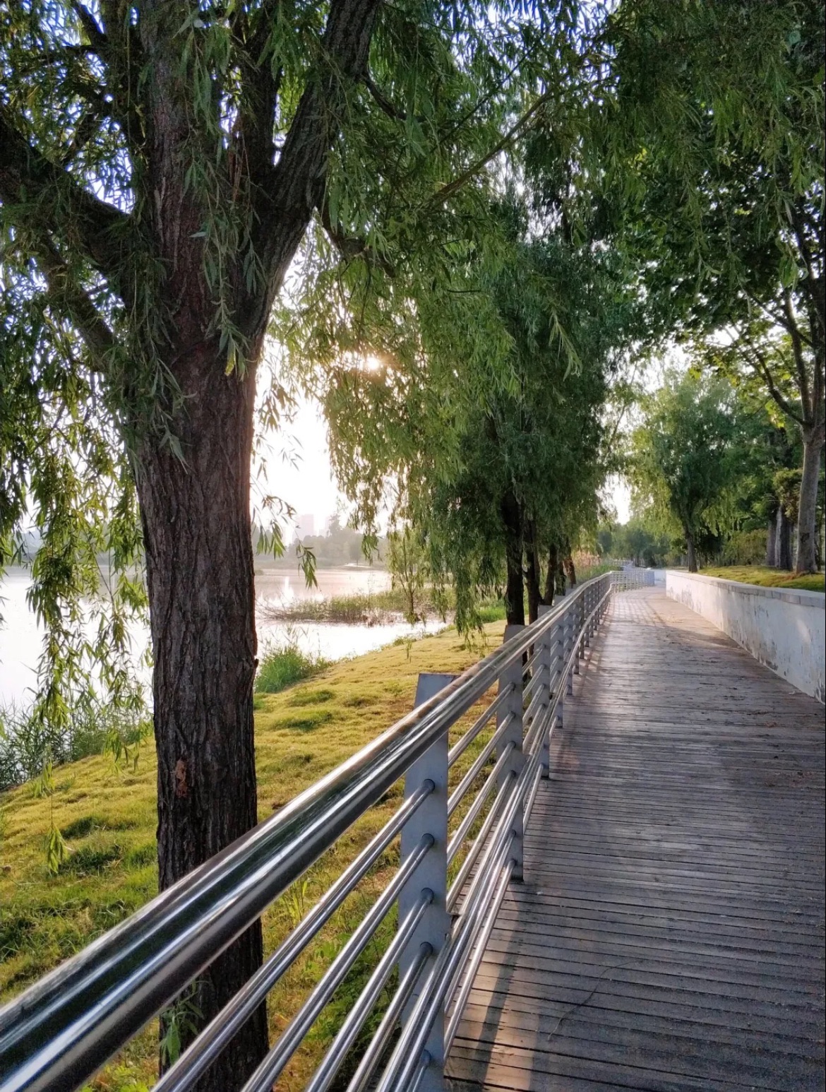 周口植物园旅行图片 3