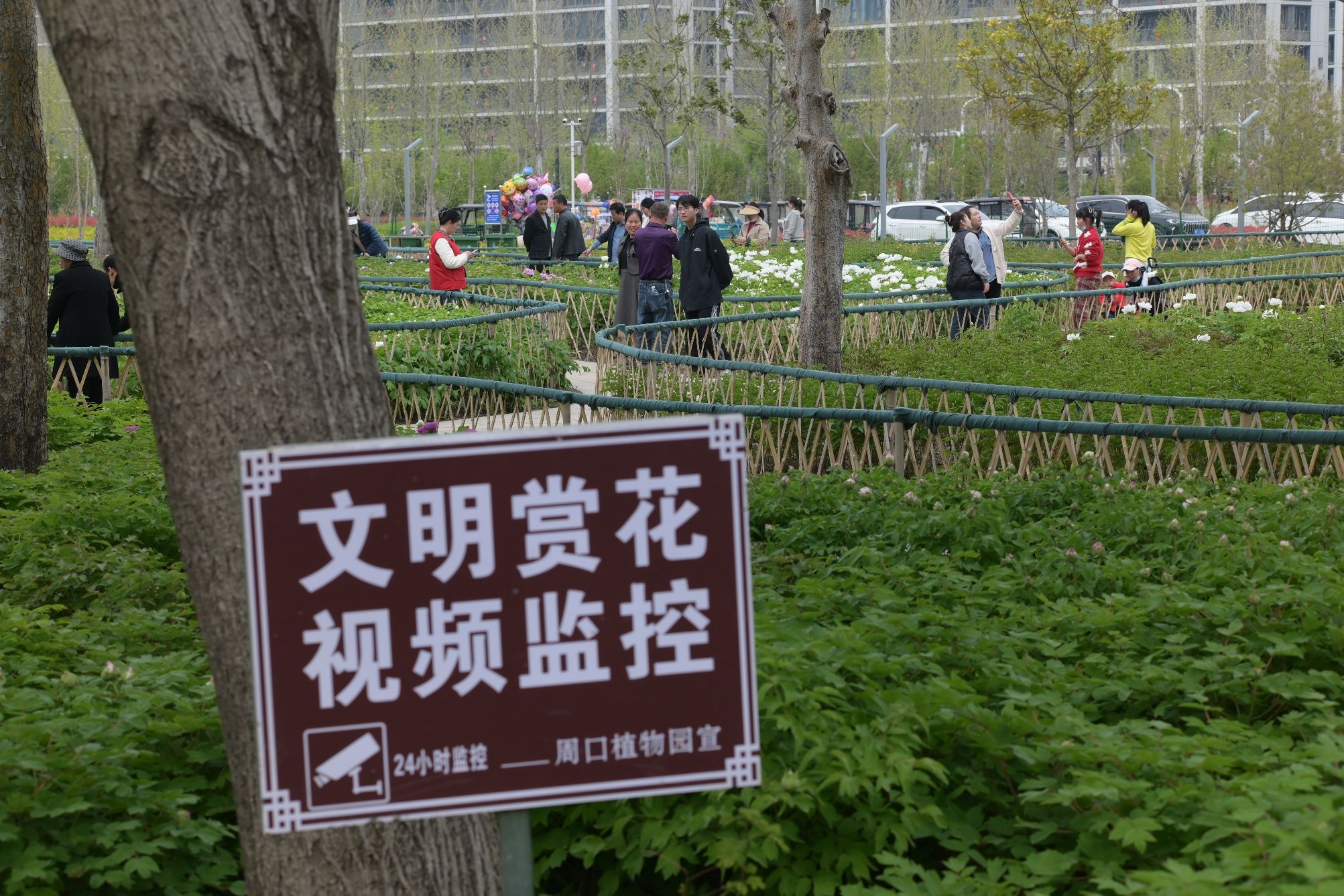 周口植物园旅行图片 2