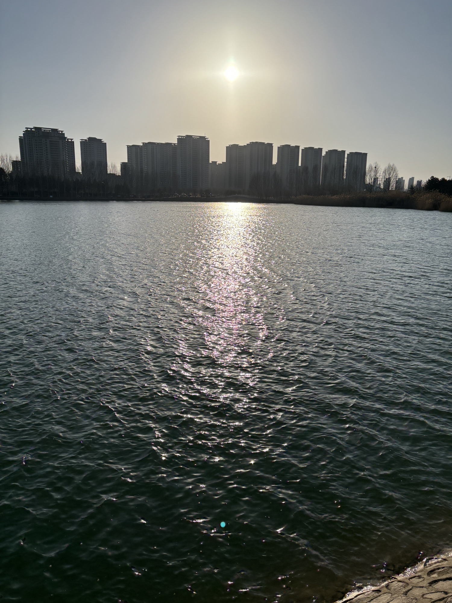 周口植物园旅行图片 3