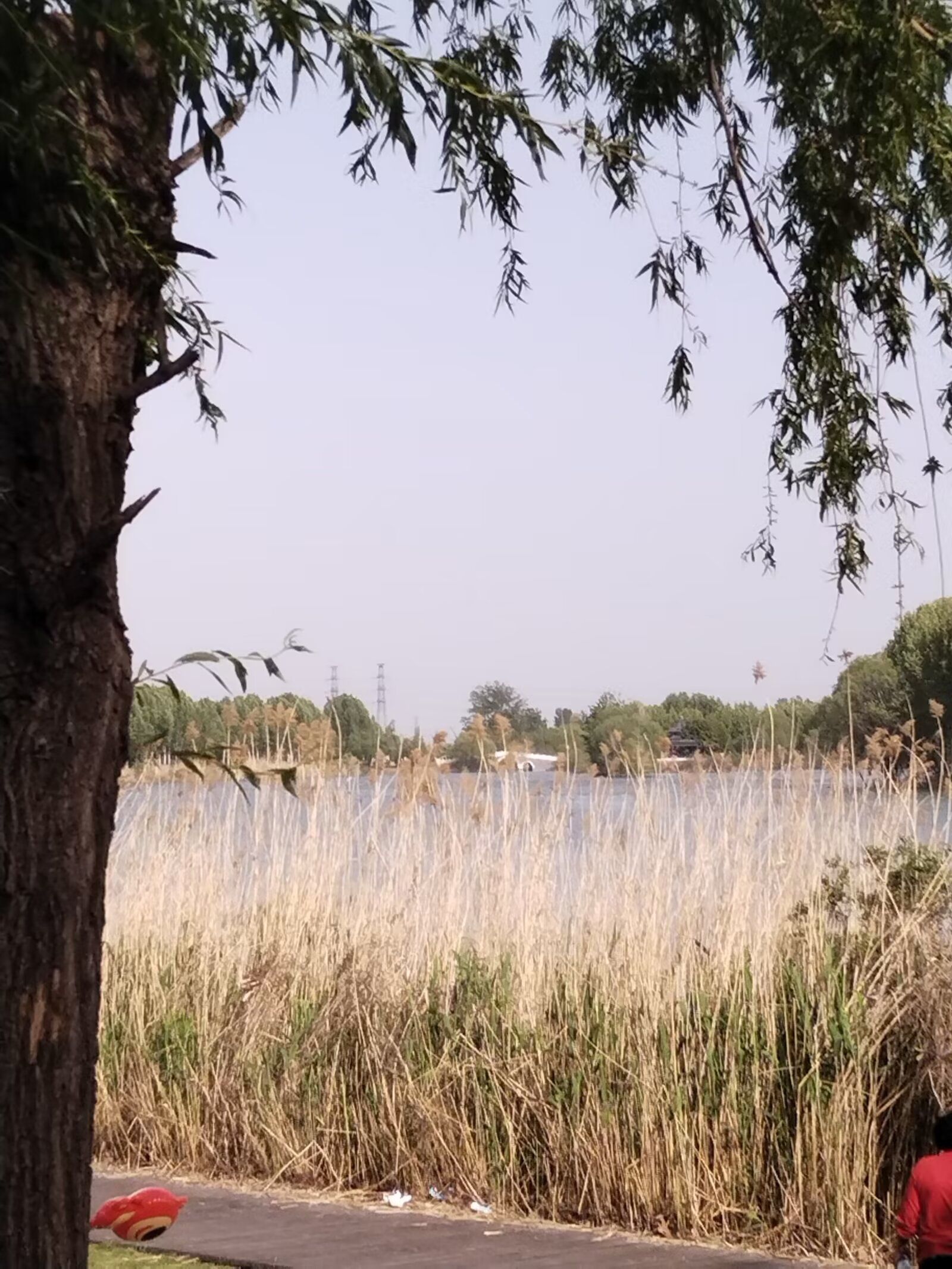 周口植物园旅行图片 3