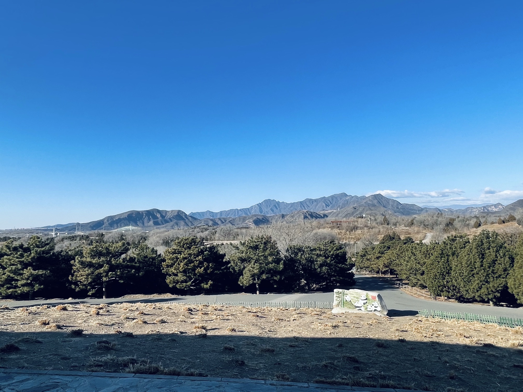 青龙湖森林公园旅行图片 2