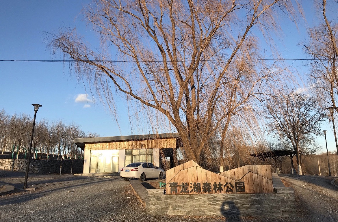 青龙湖森林公园