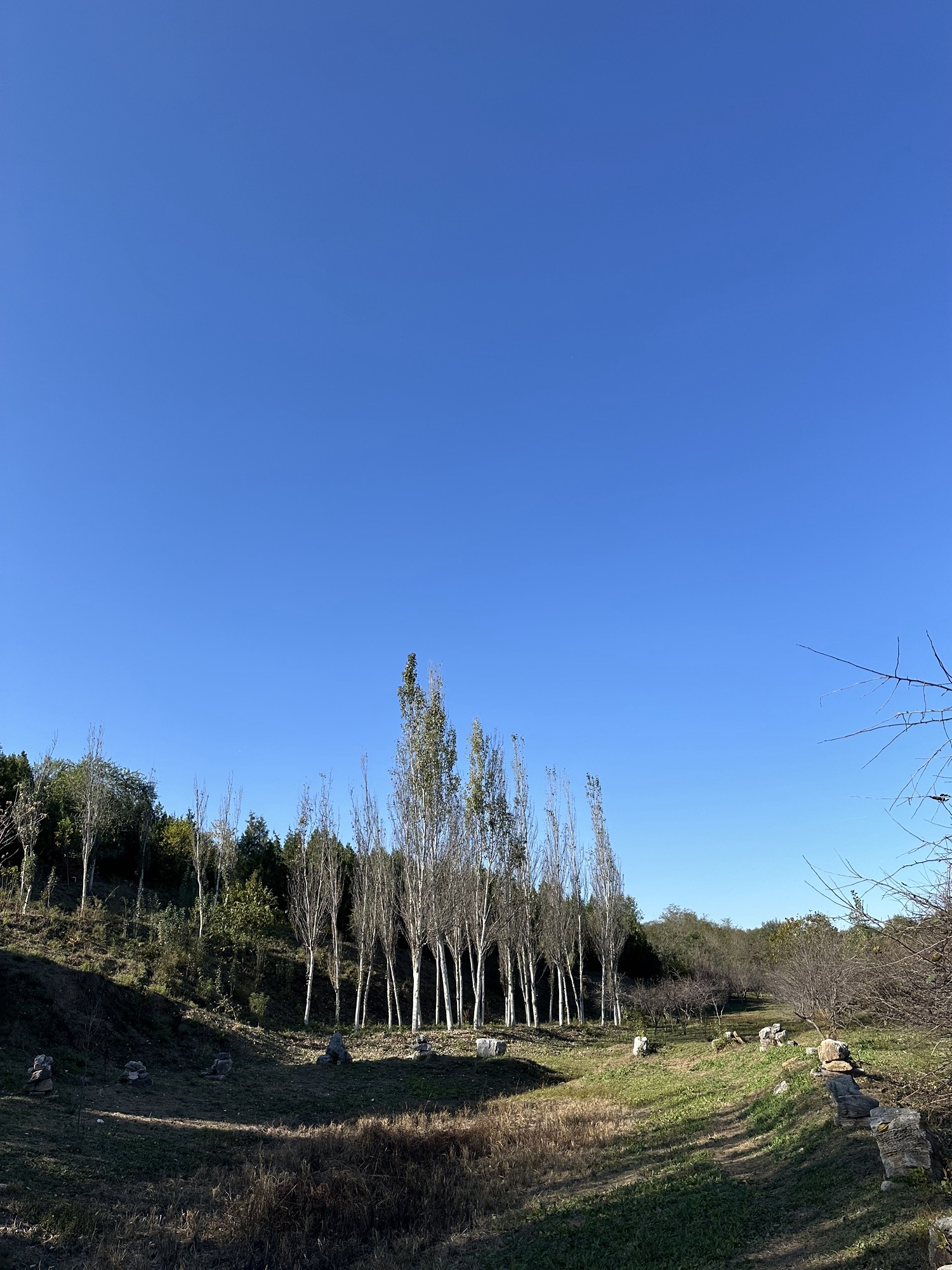 青龙湖森林公园旅行图片 1