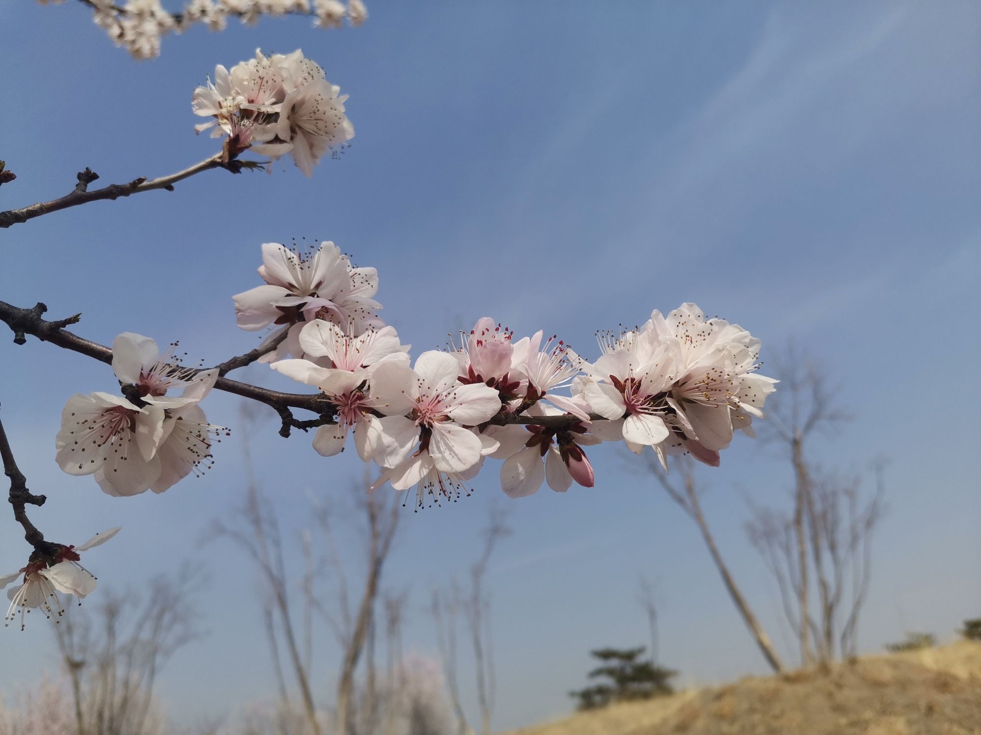 青龙湖森林公园旅行图片 2