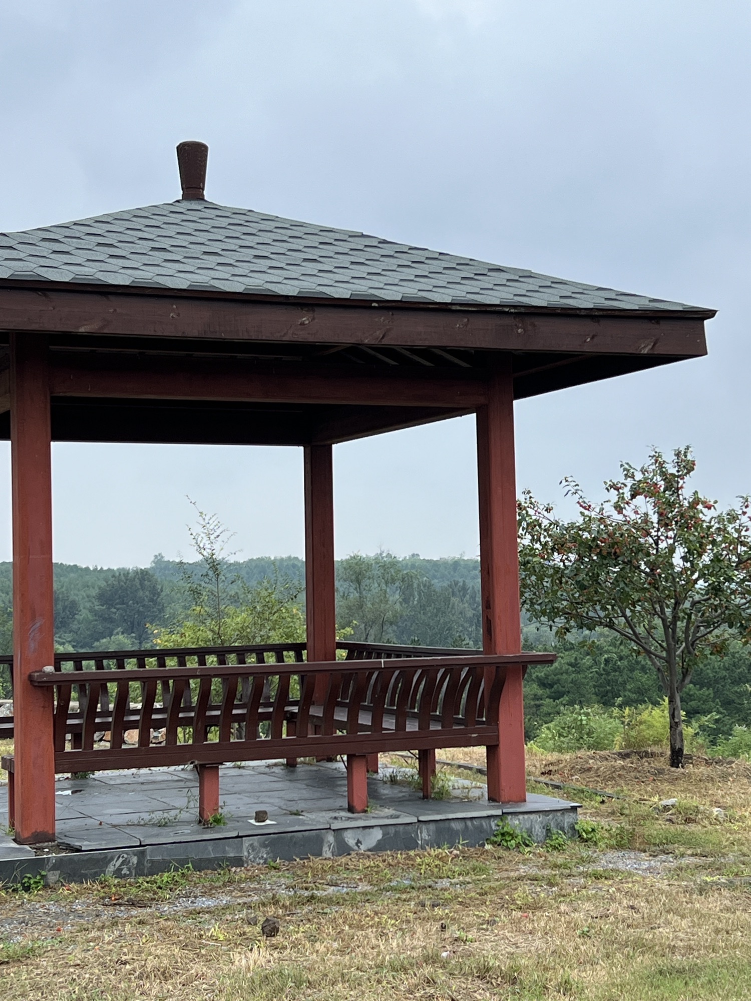 青龙湖森林公园旅行图片 3