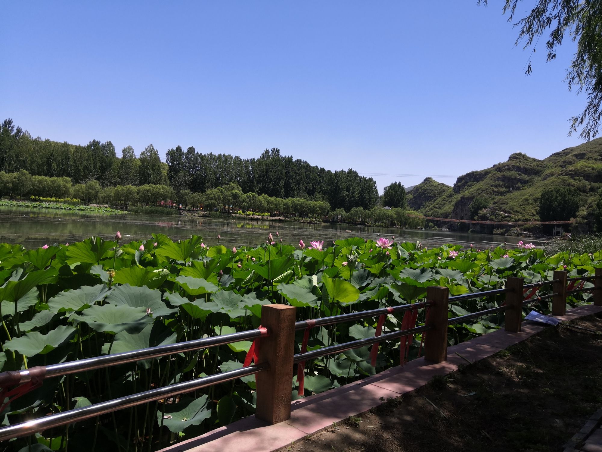 杏塘沟旅行图片 1