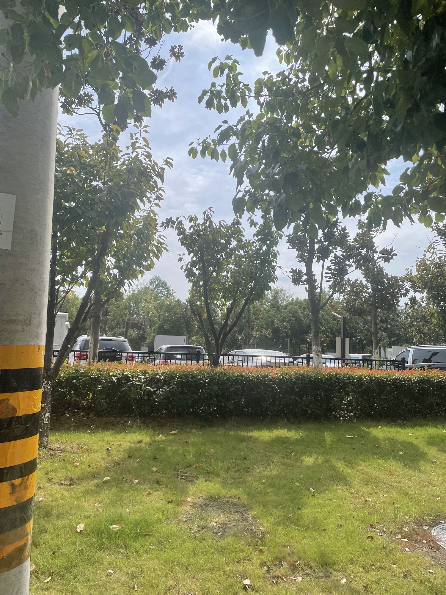 肥西滨河公园旅行图片 3