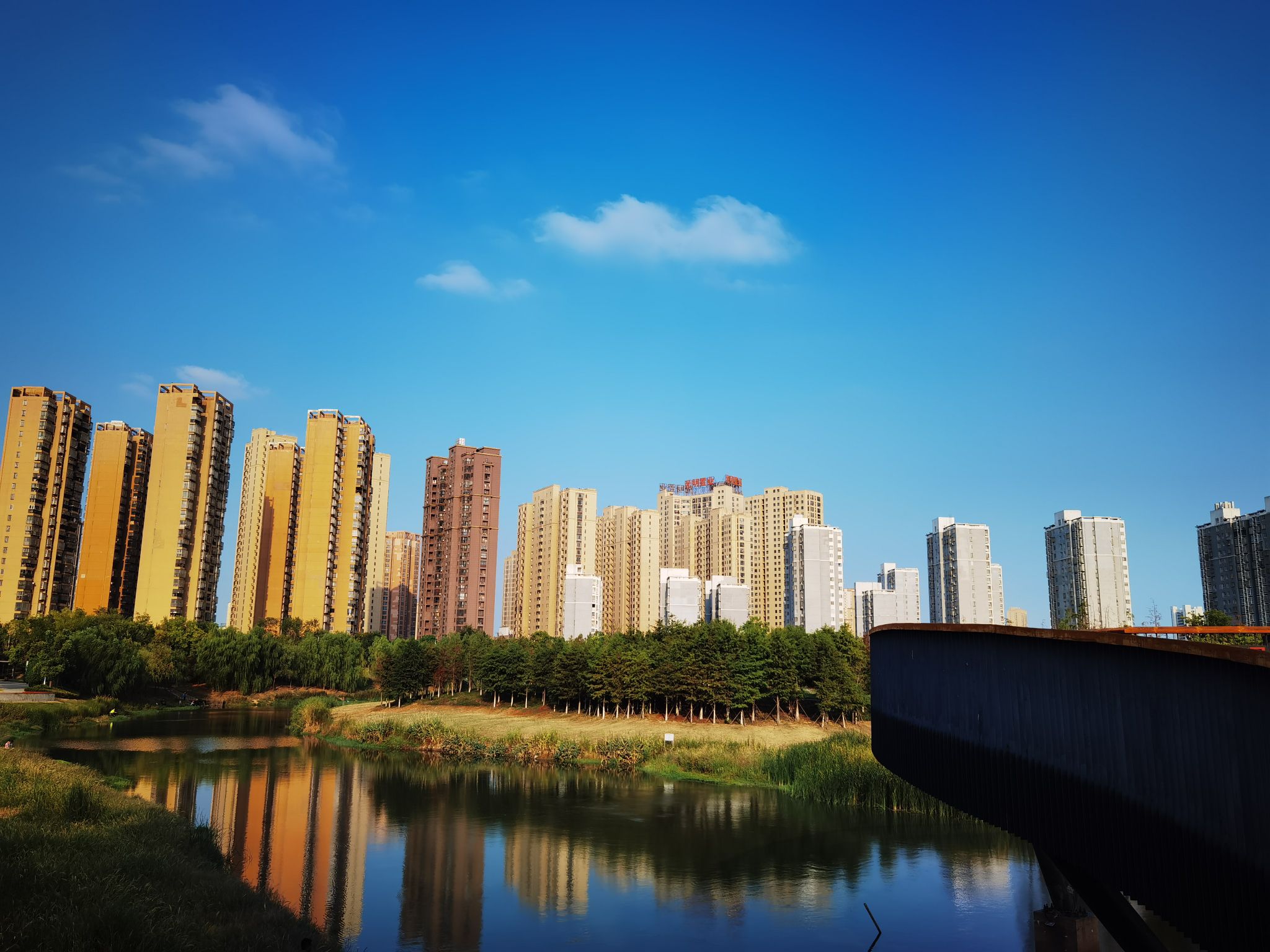 肥西滨河公园旅行图片 3