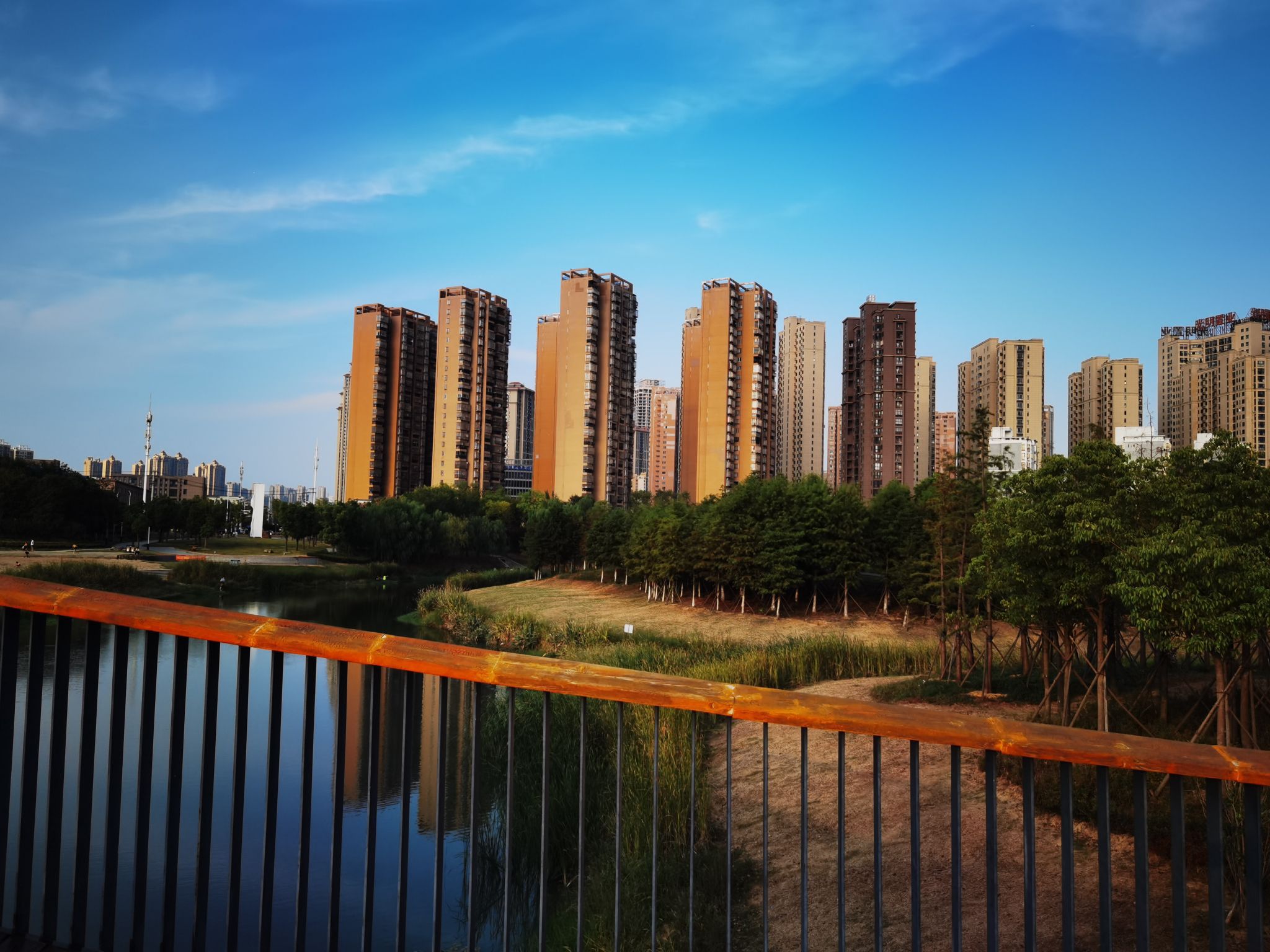 肥西滨河公园旅行图片 1