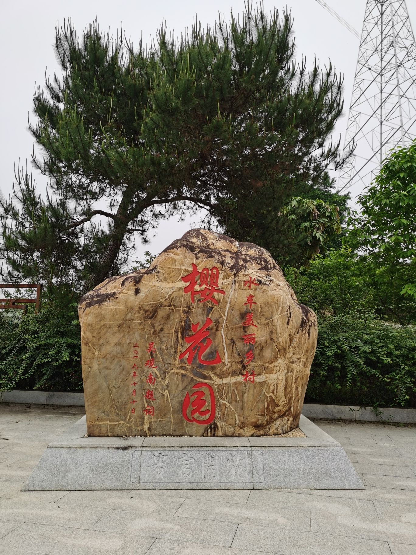 樱花园旅行图片 1