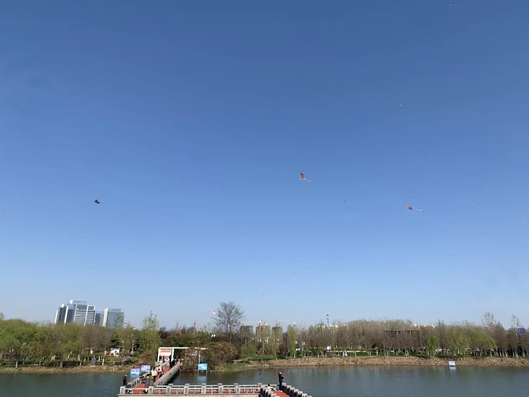 响水湖城市公园旅行图片 2