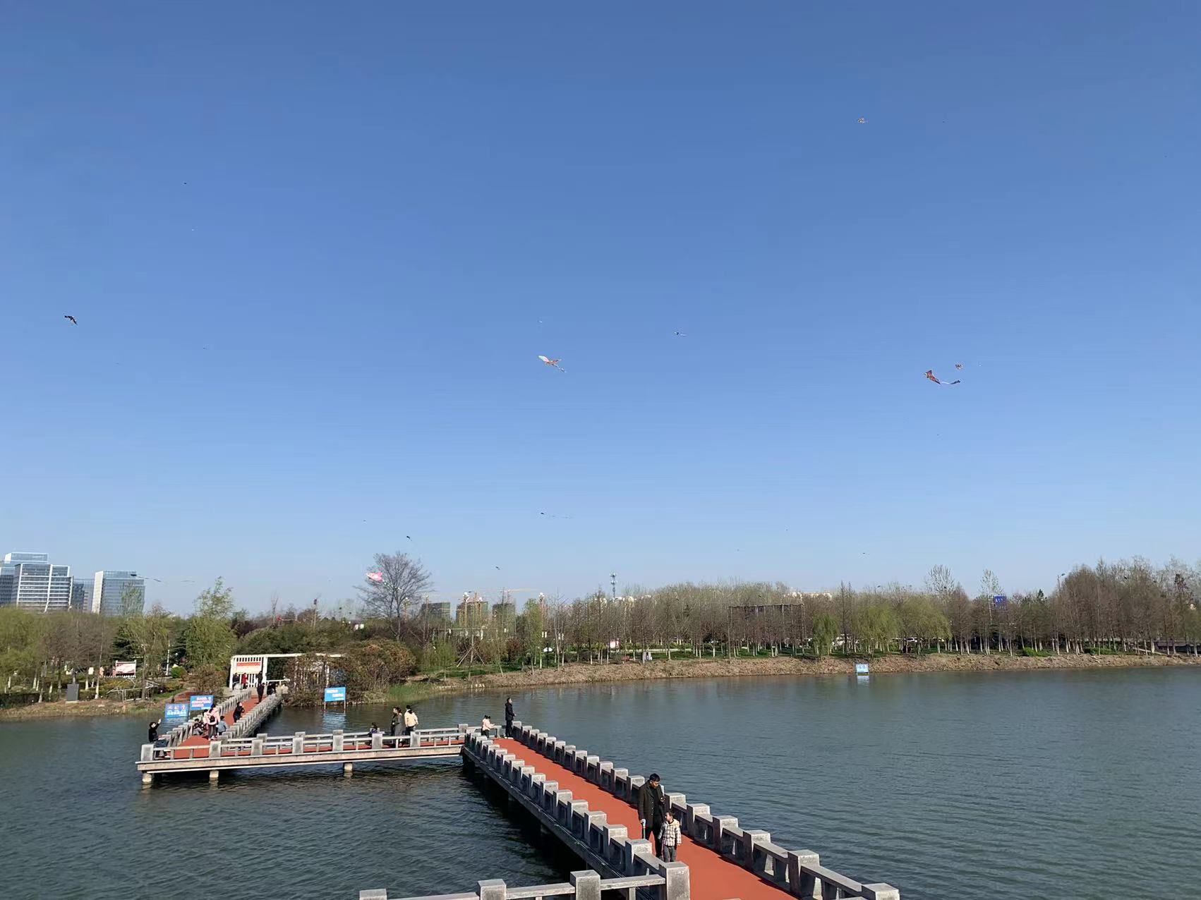 响水湖城市公园旅行图片 3