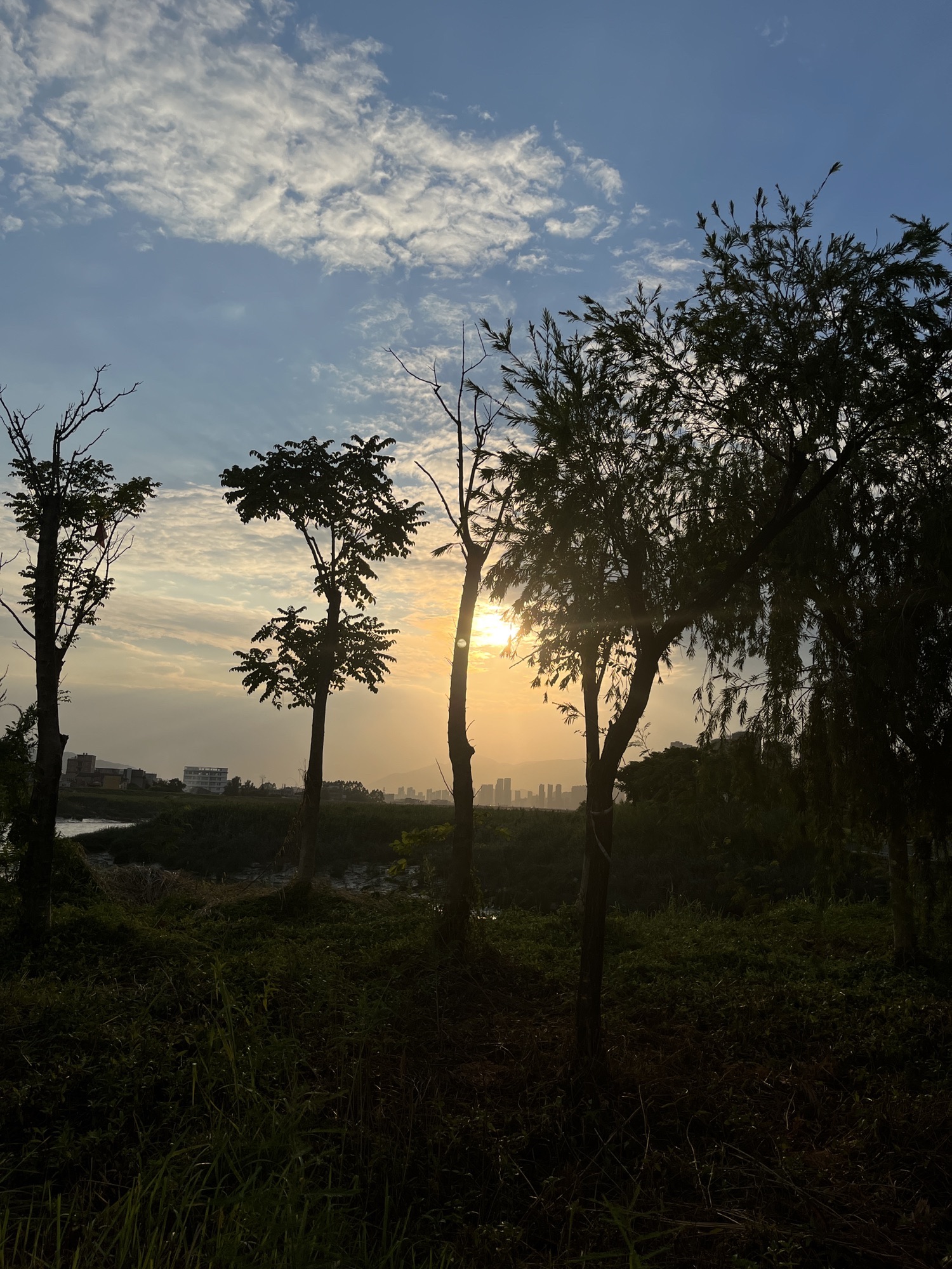 玉湖木兰滨溪公园旅行图片 1