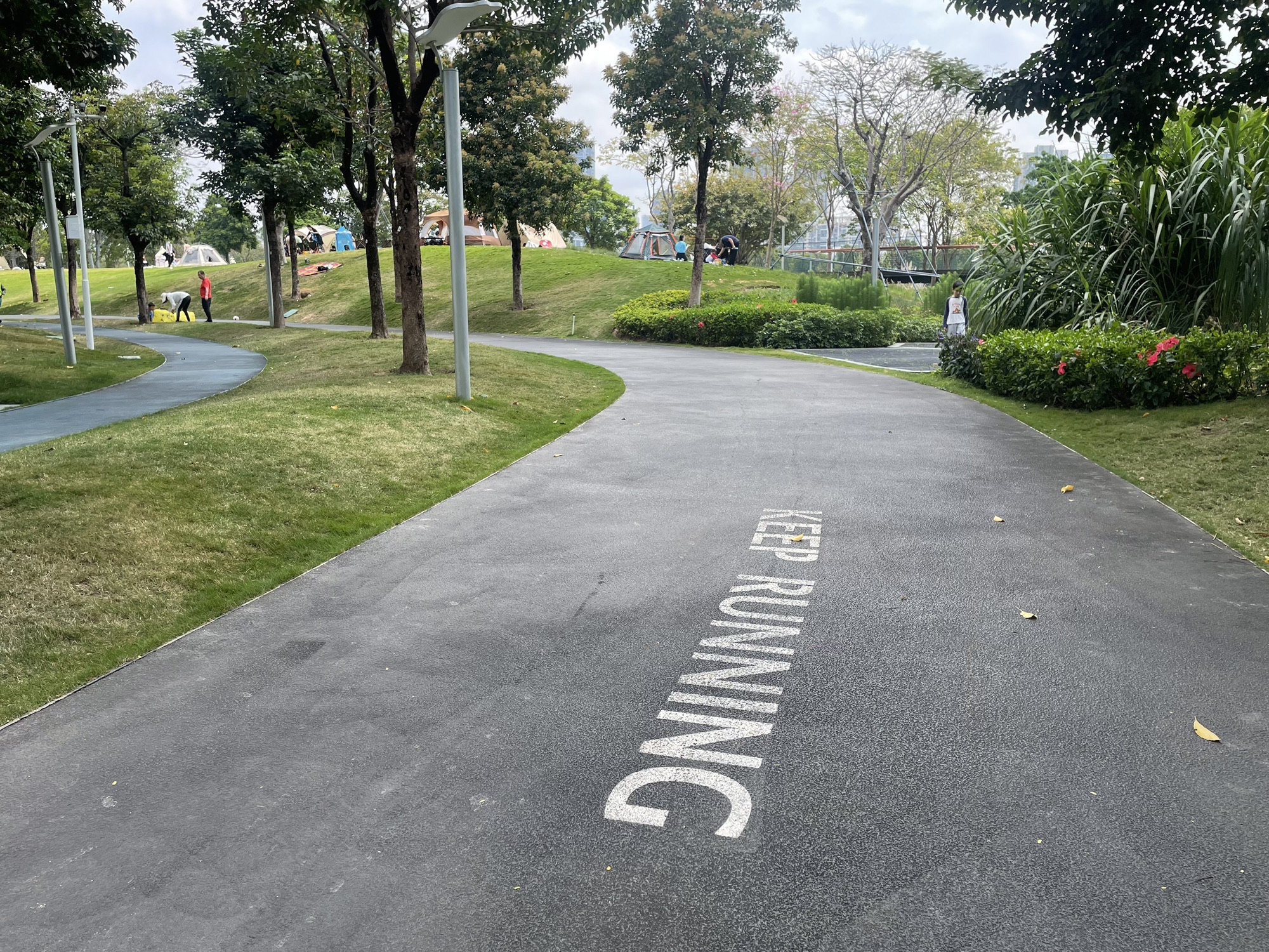 前海运动公园旅行图片 3