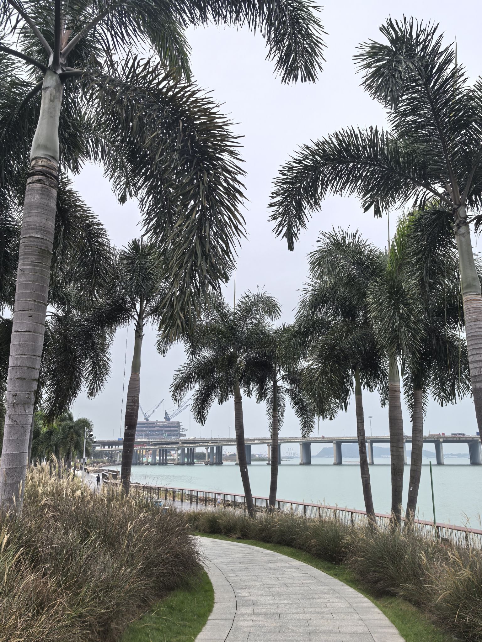 前海运动公园旅行图片 1