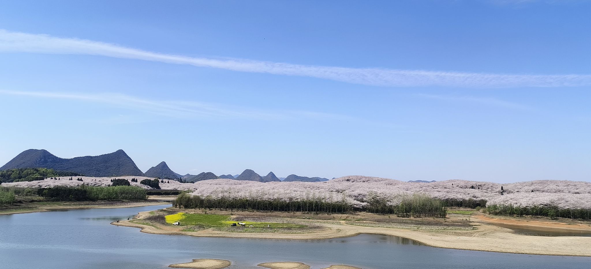 樱花观景台旅行图片 1
